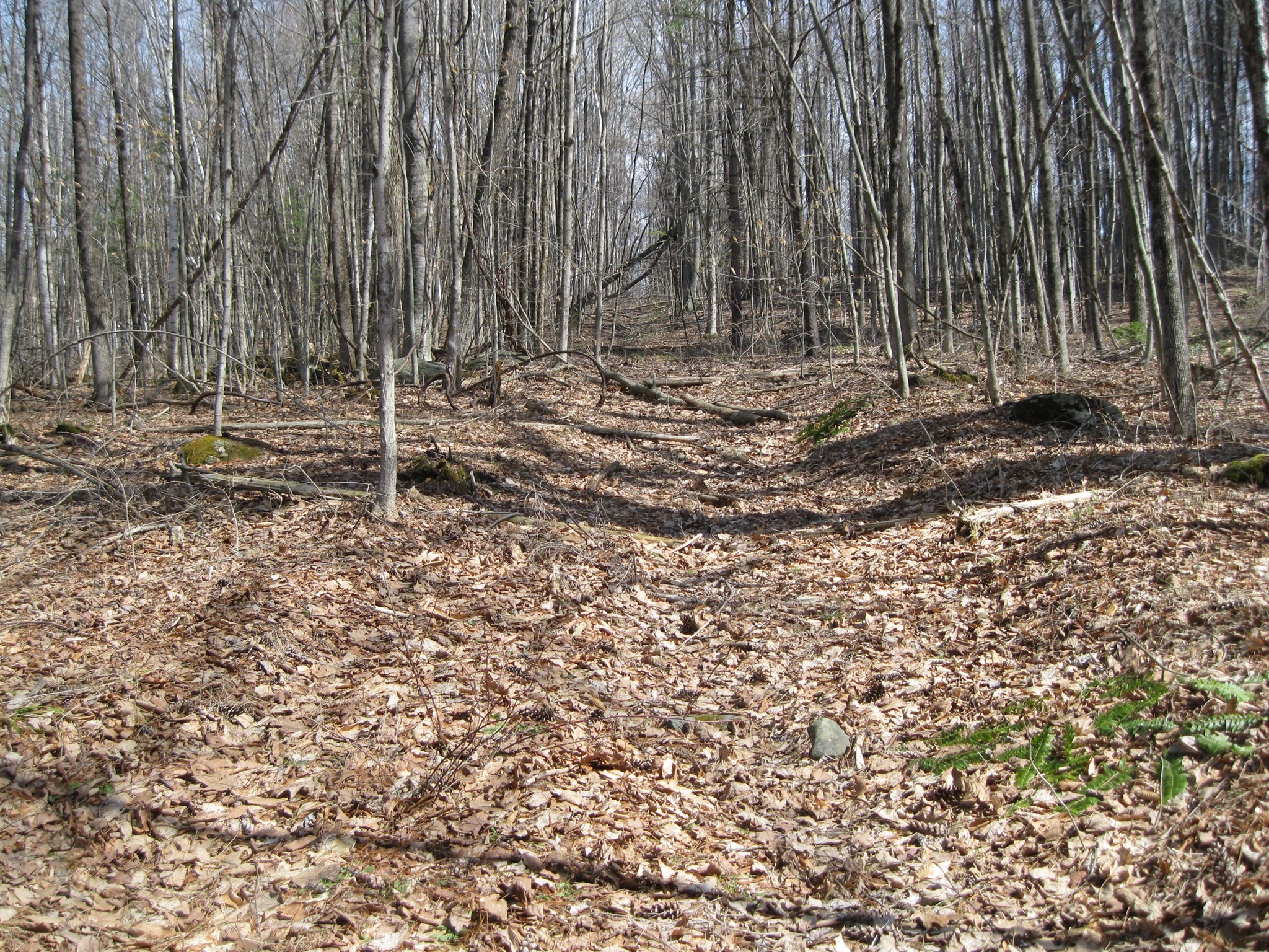 0 Mohawk Lake Rd Property Photo 2