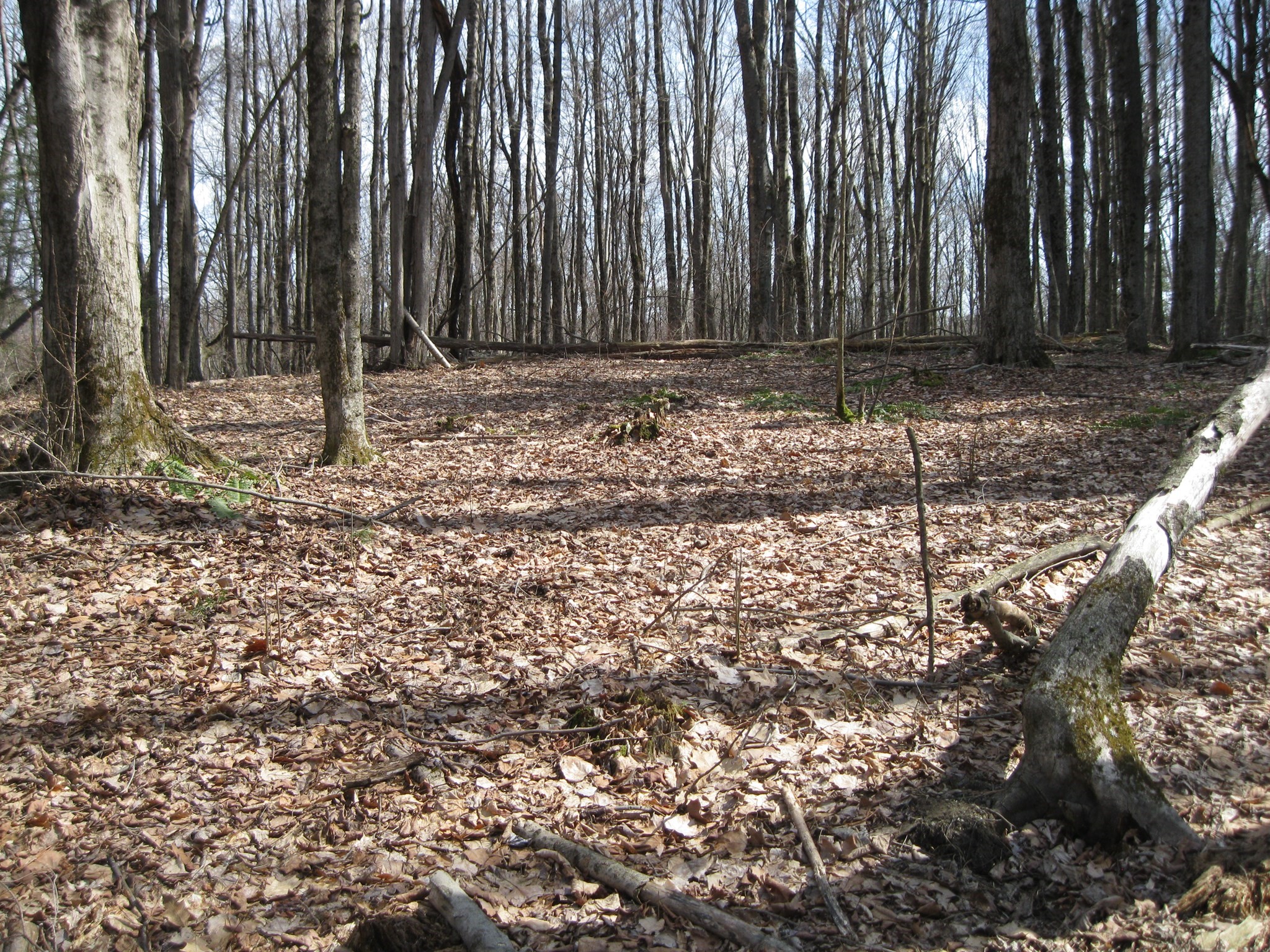 0 Mohawk Lake Rd Property Photo 3