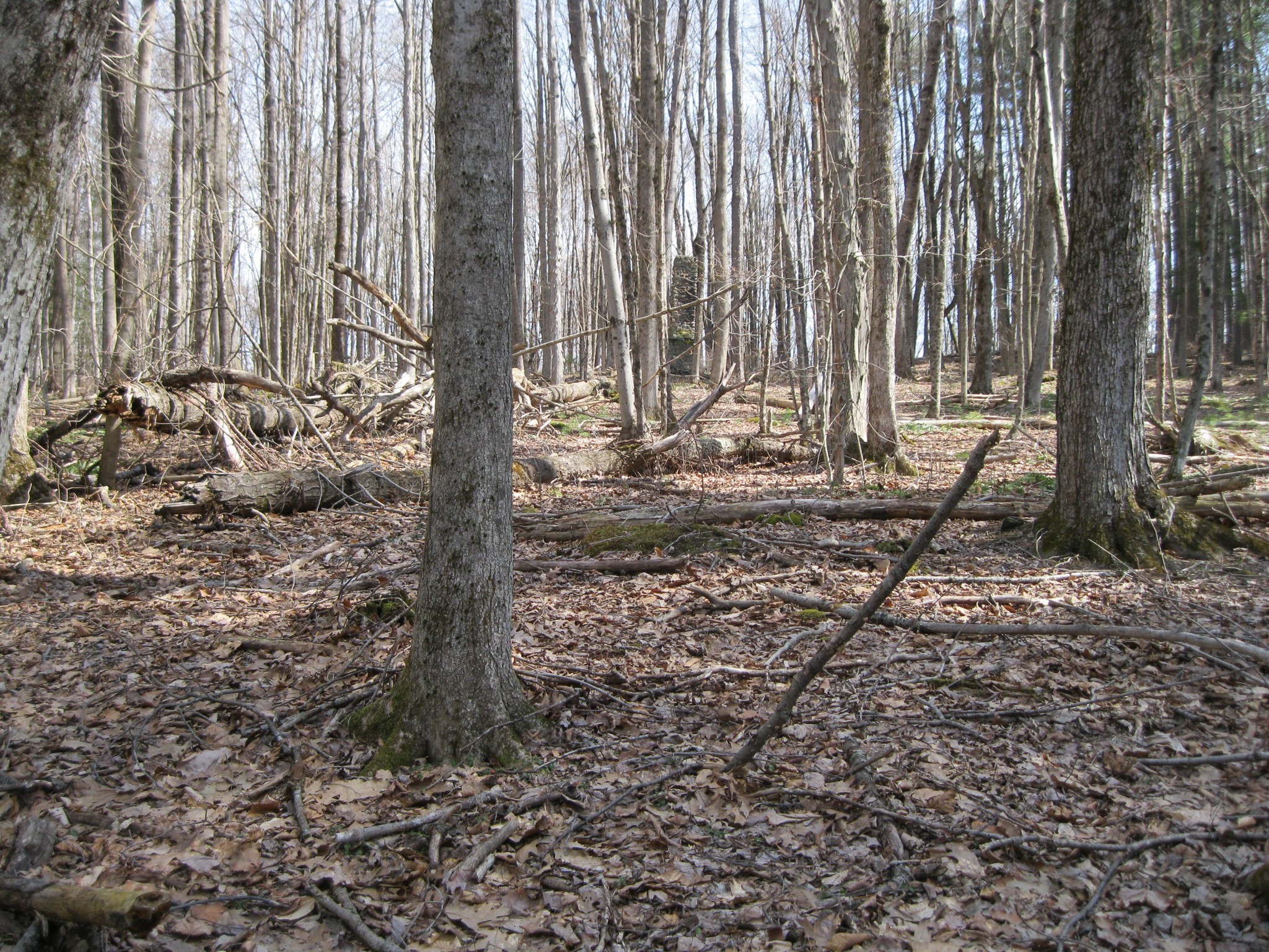 0 Mohawk Lake Rd Property Photo 4