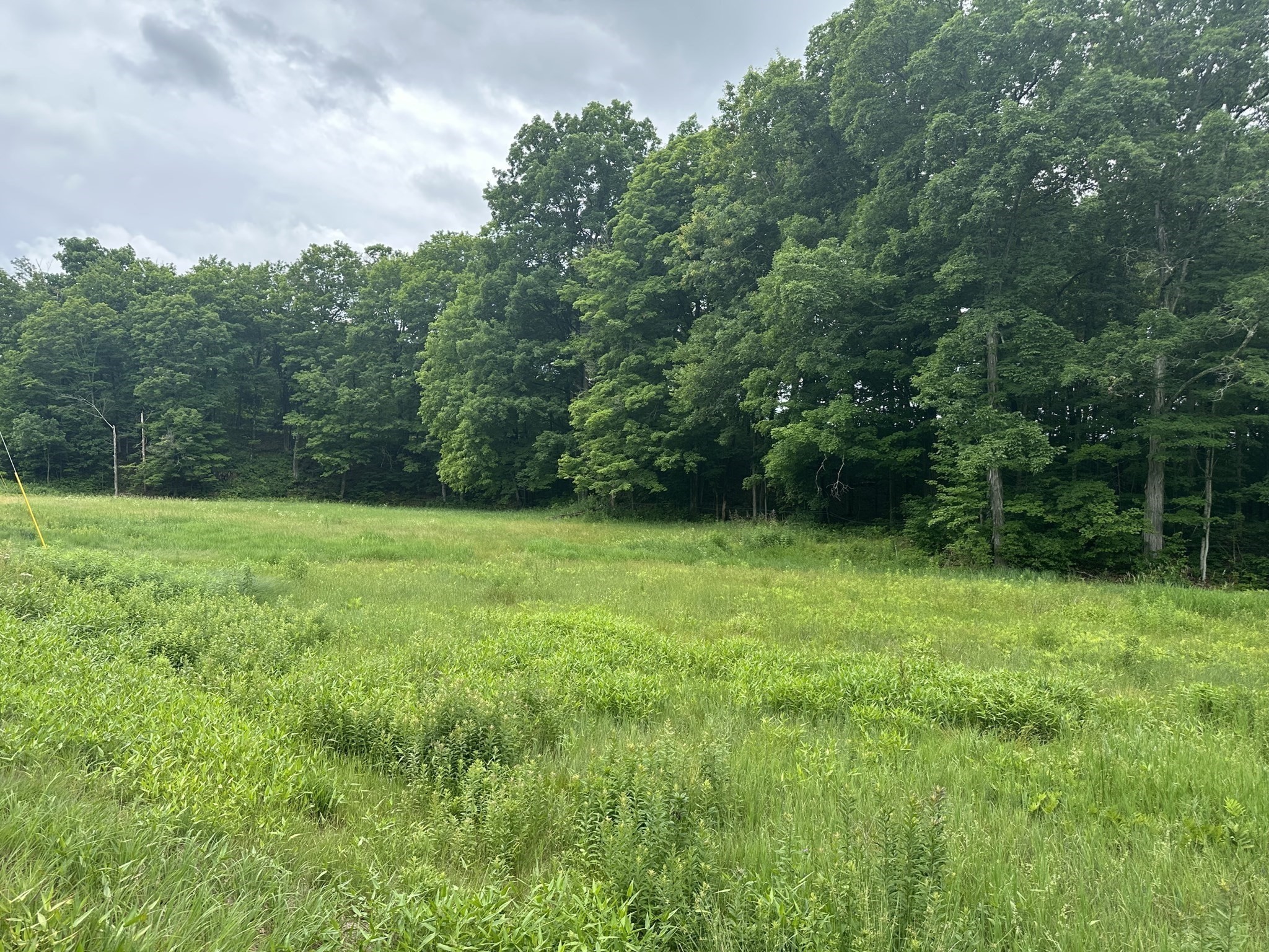 0 North Leverett