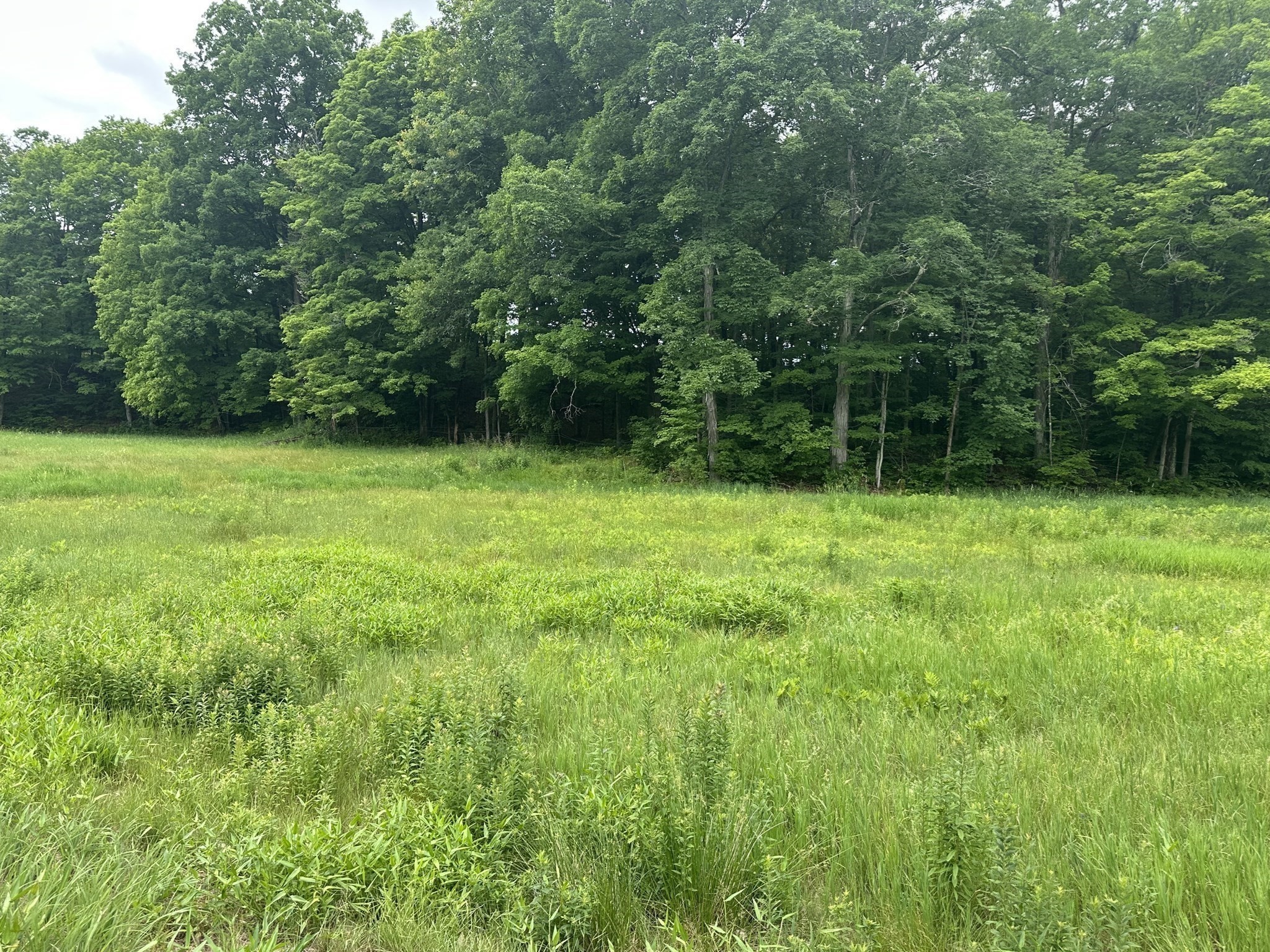 0 North Leverett Property Photo 5