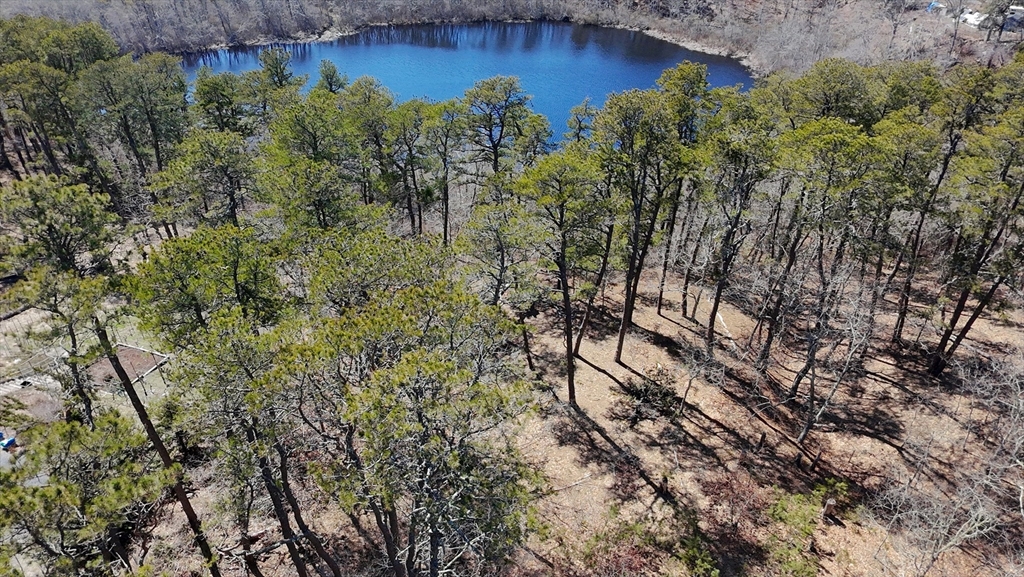 60 Perch Pond Way Property Photo 2