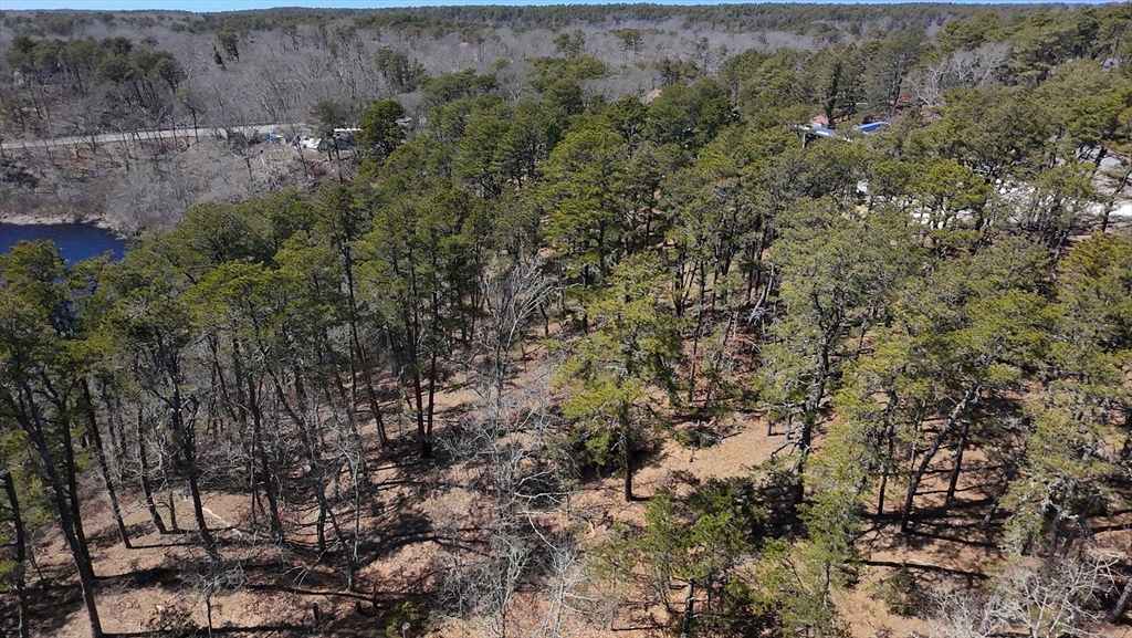60 Perch Pond Way Property Photo 6