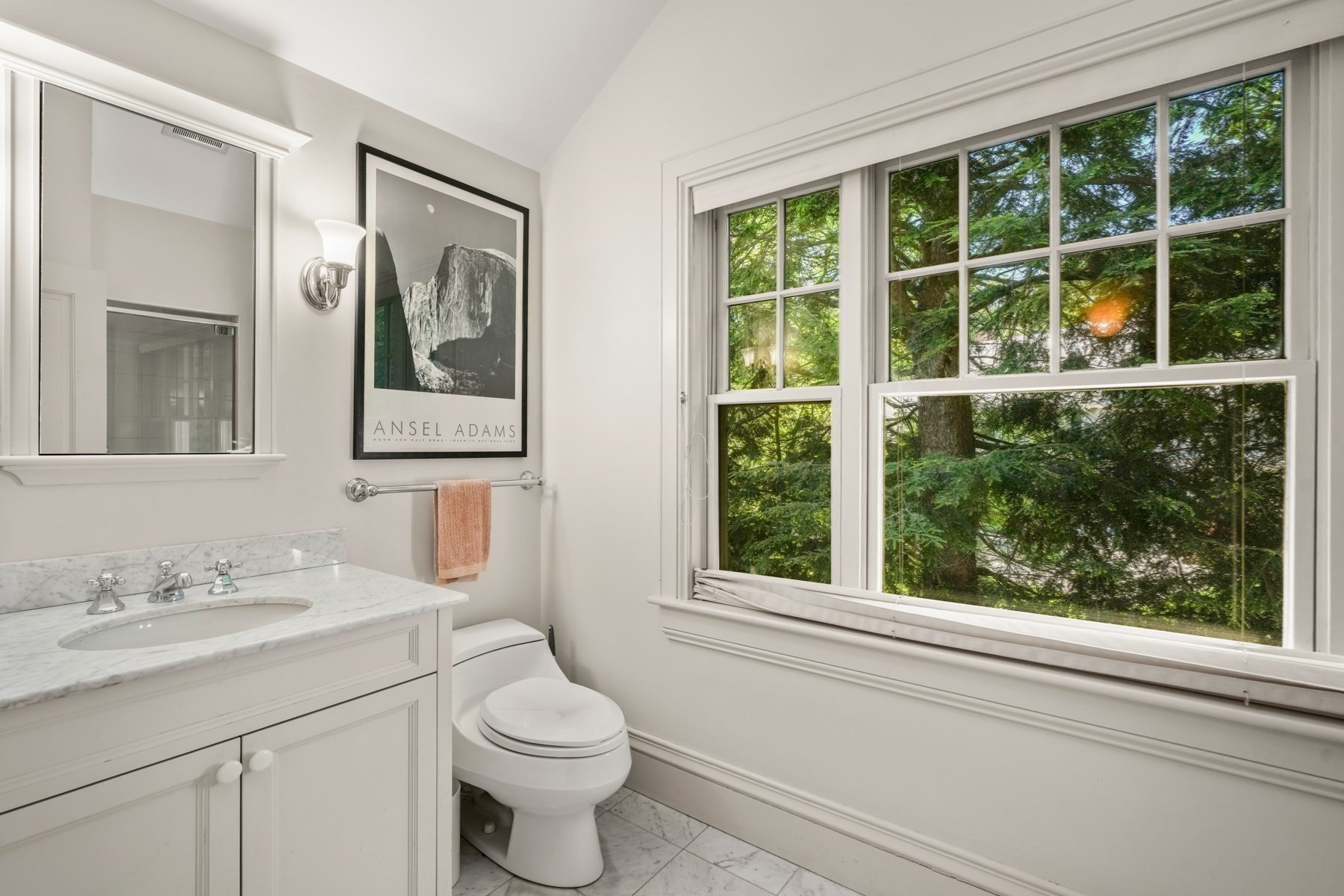 198 Clyde Street Property Photo 18