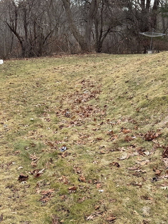 99 Clover St Property Photo 5