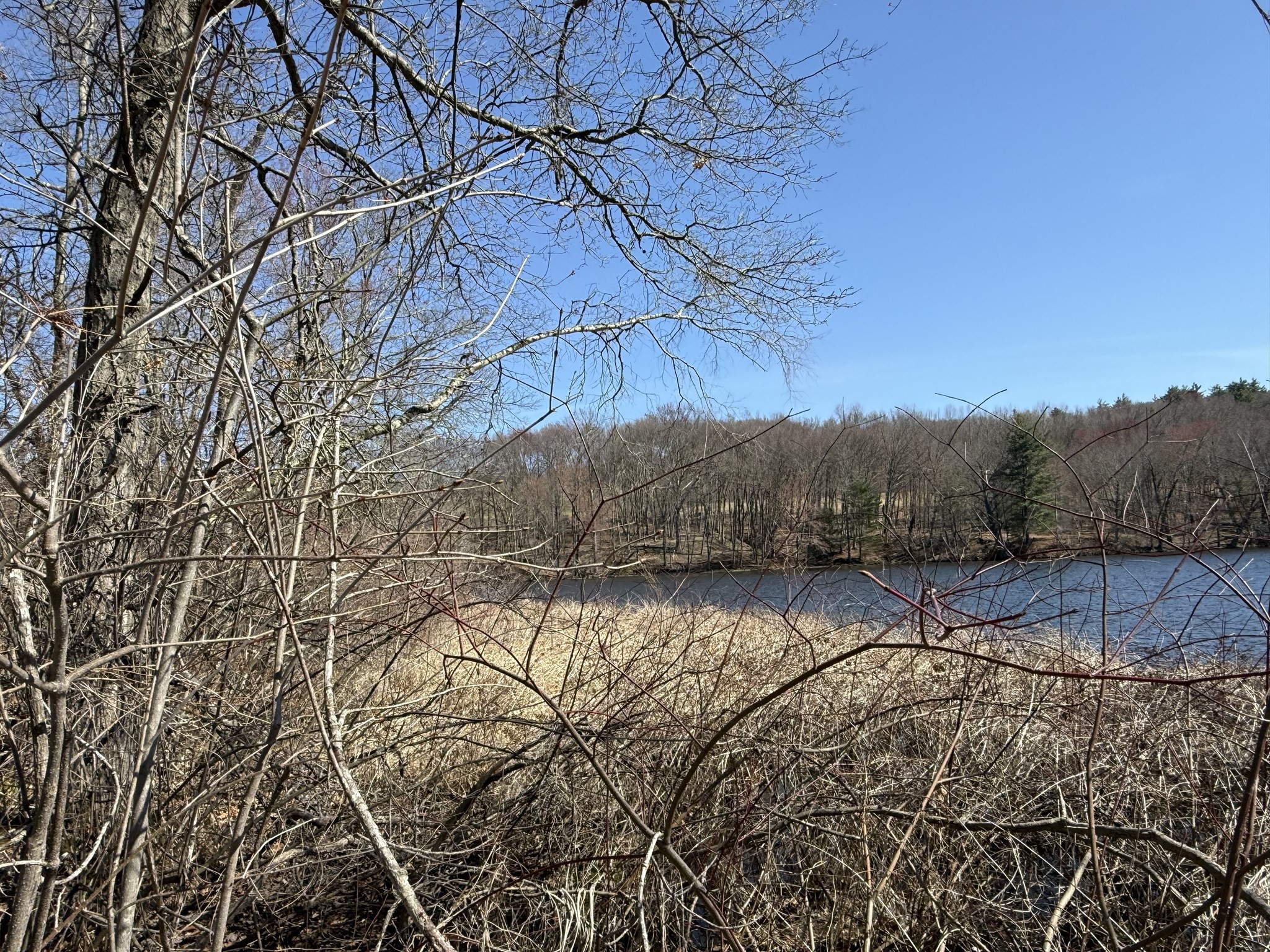277 River Drive Property Photo 4