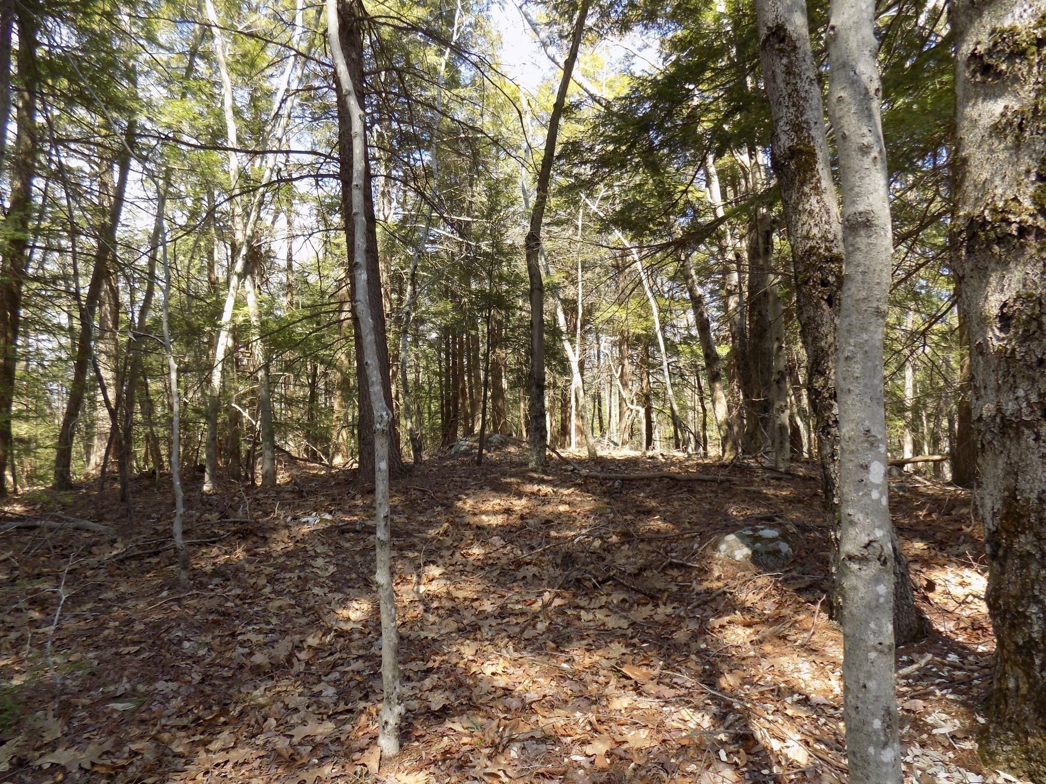 0 Summit Hill Rd. Lot 3 Property Photo 4