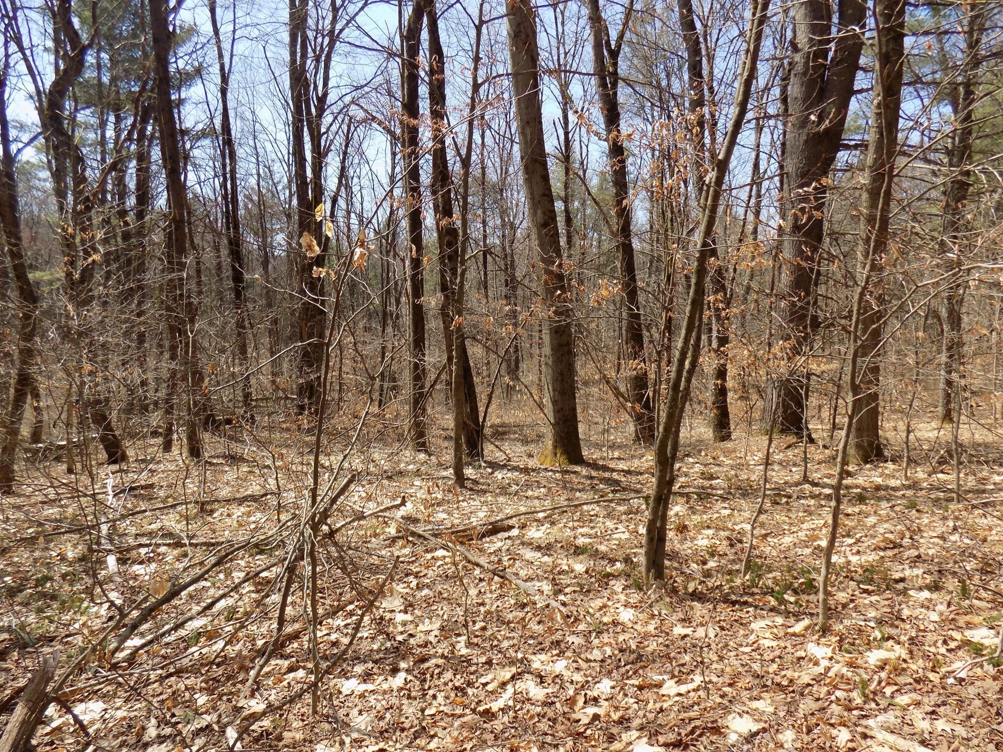 0 Summit Hill Rd. Lot 3 Property Photo 6