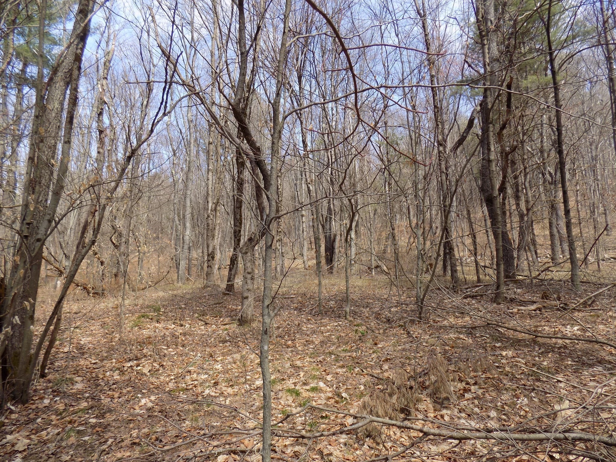 0 Summit Hill Rd. Lot 3 Property Photo 7