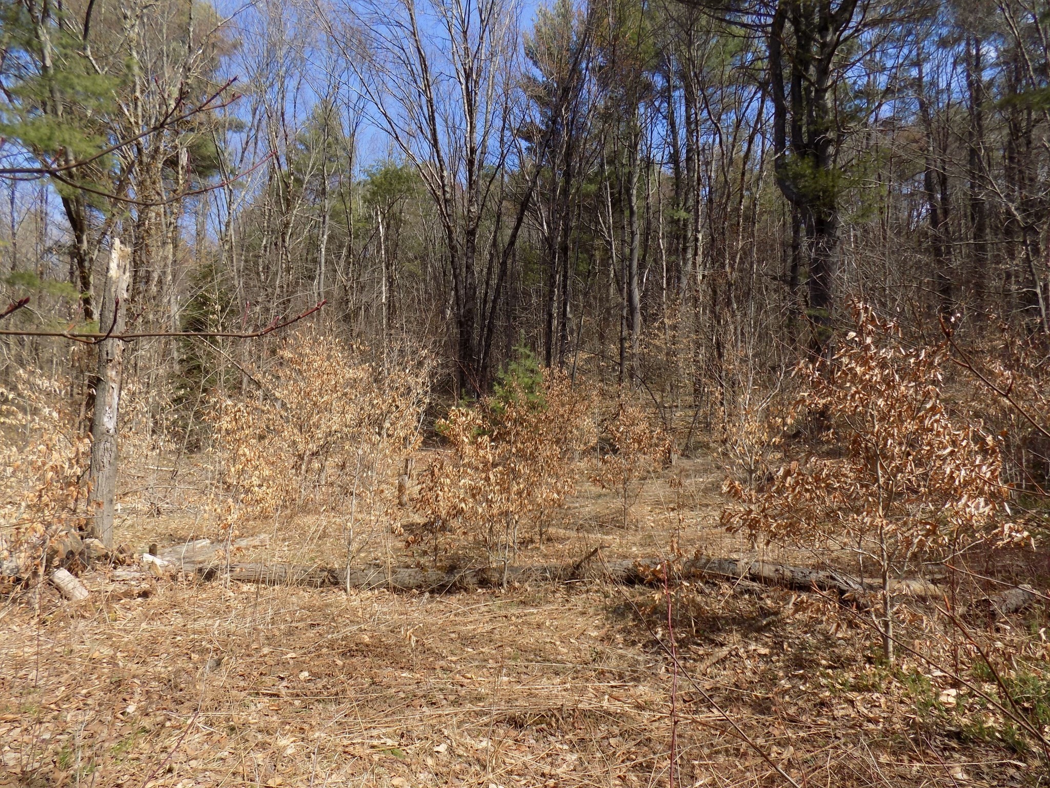 0 Summit Hill Rd. Lot 3 Property Photo 8