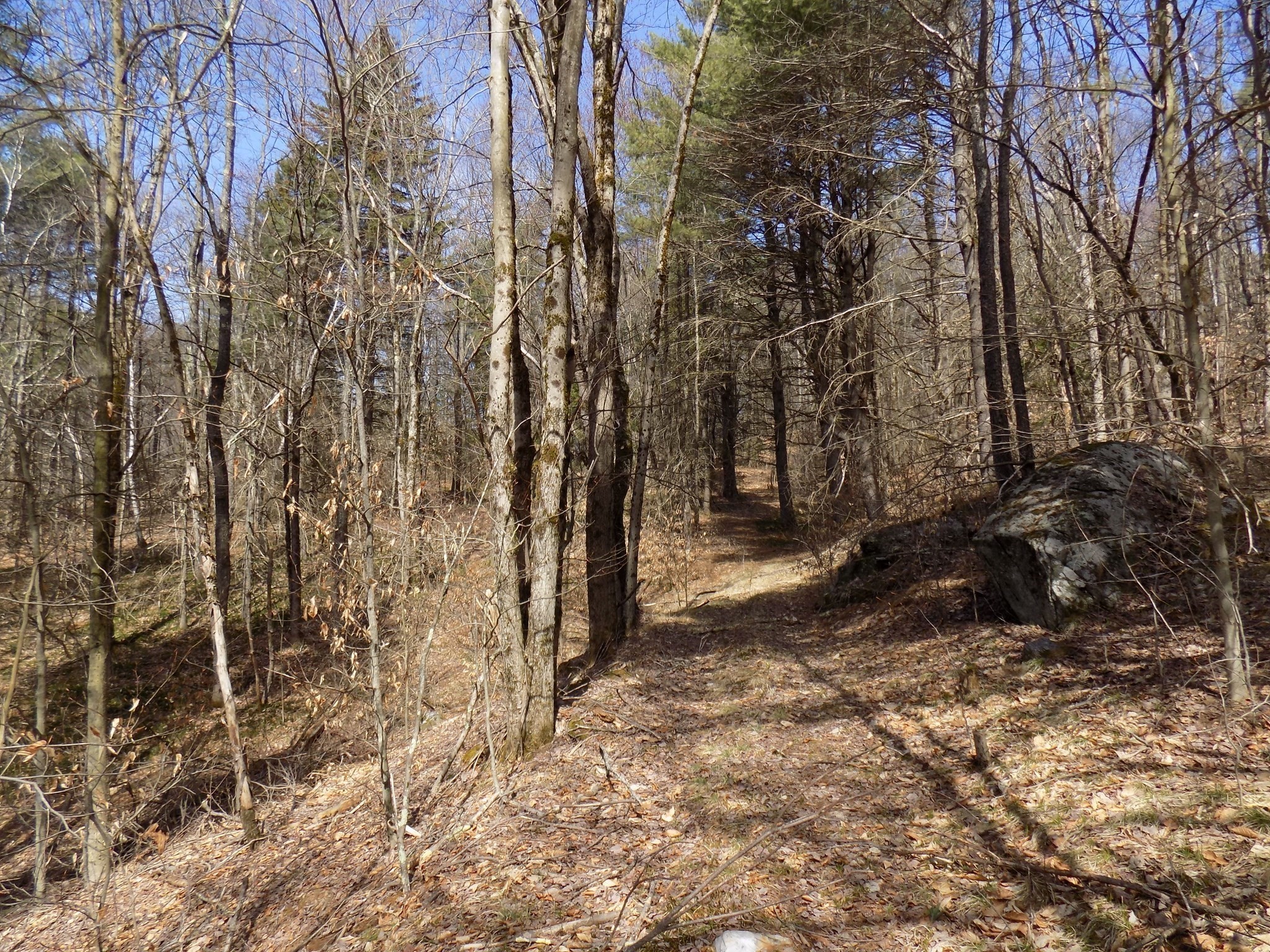 0 Summit Hill Rd. Lot 3 Property Photo 9