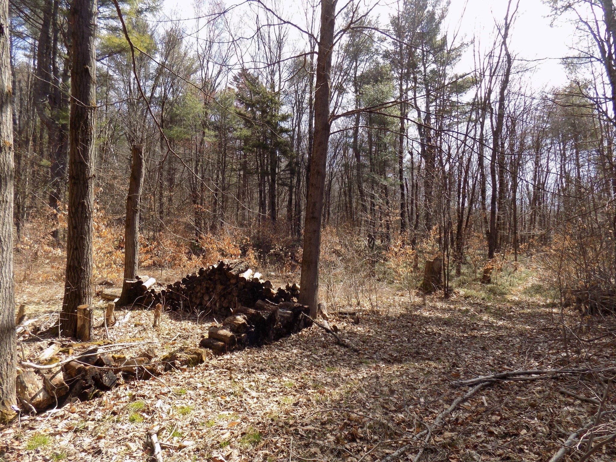 0 Summit Hill Rd. Lot 3 Property Photo 10
