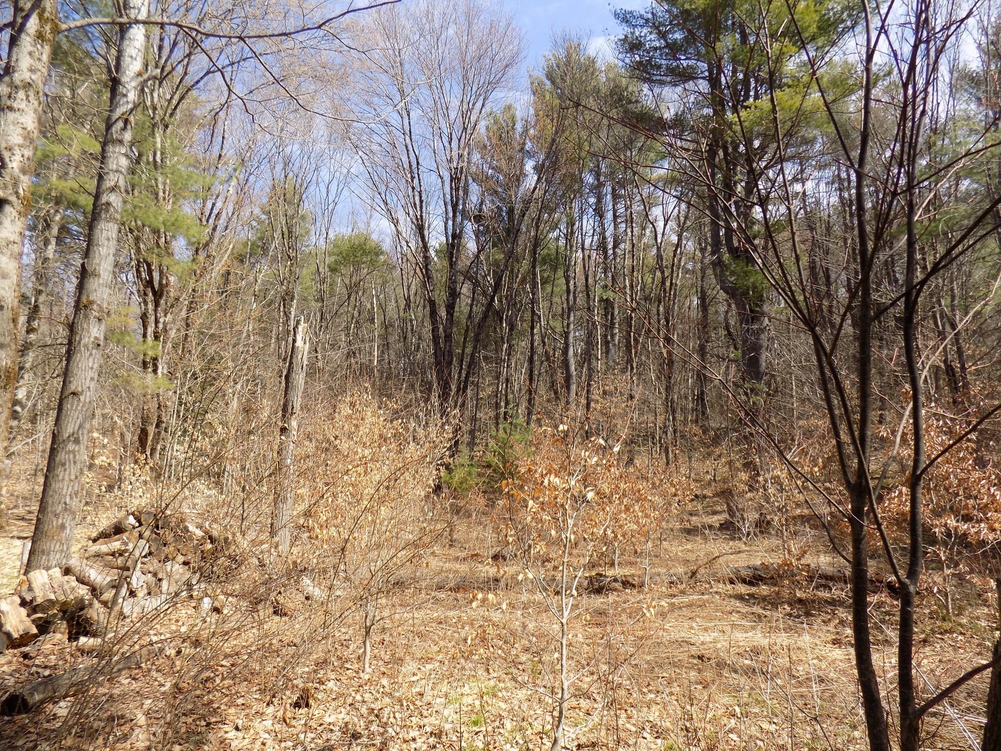 0 Summit Hill Rd. Lot 3 Property Photo 11