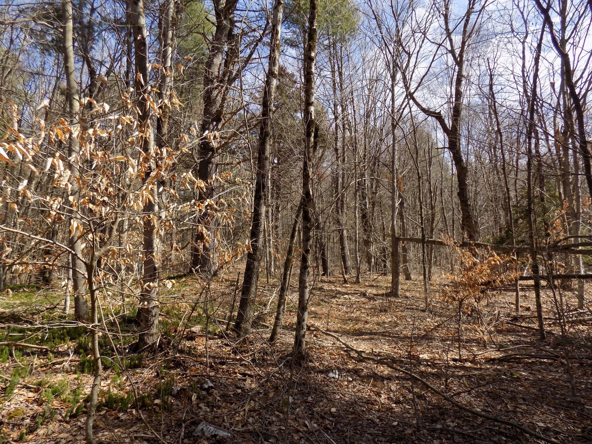 0 Summit Hill Rd. Lot 3 Property Photo 12
