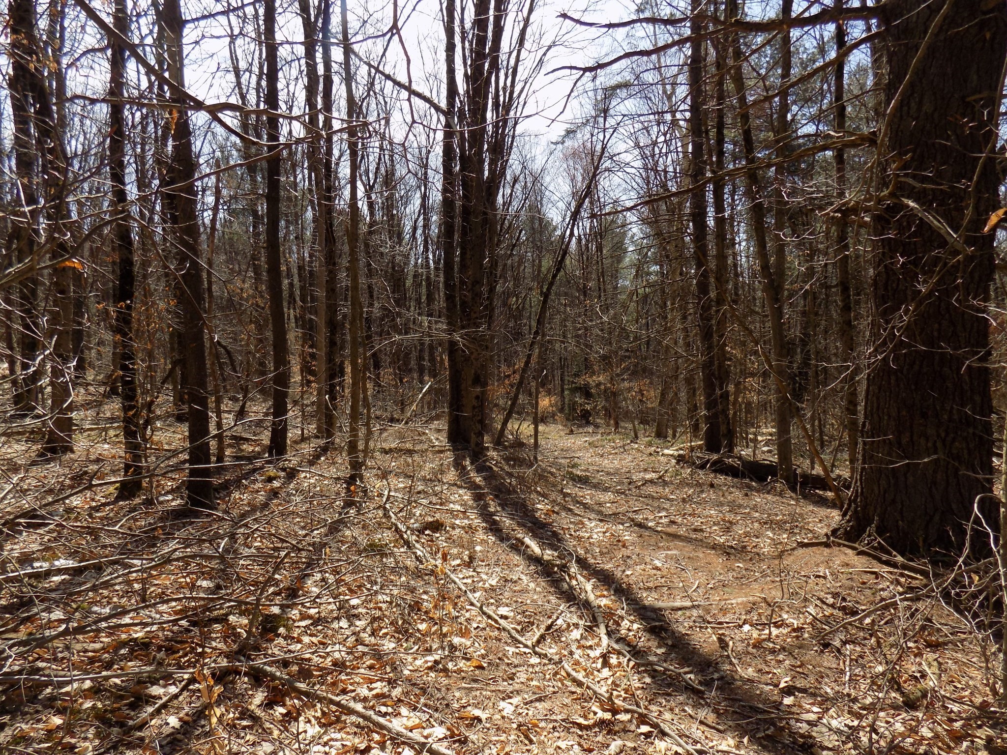 0 Summit Hill Rd. Lot 3 Property Photo 13