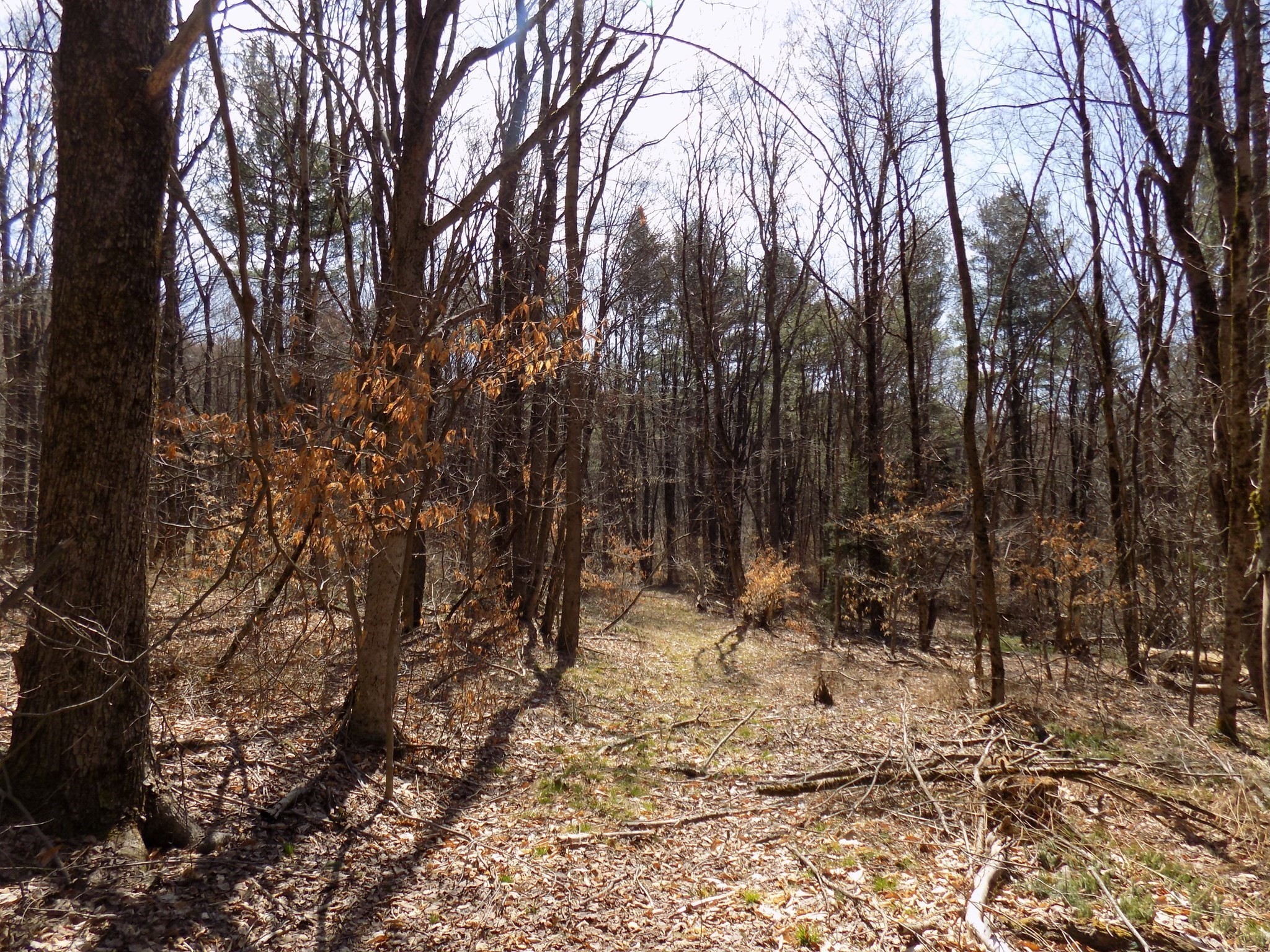 0 Summit Hill Rd. Lot 3 Property Photo 14