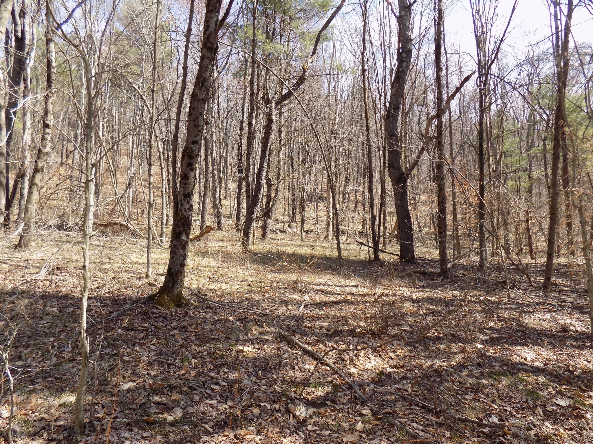 0 Summit Hill Rd. Lot 3 Property Photo 15