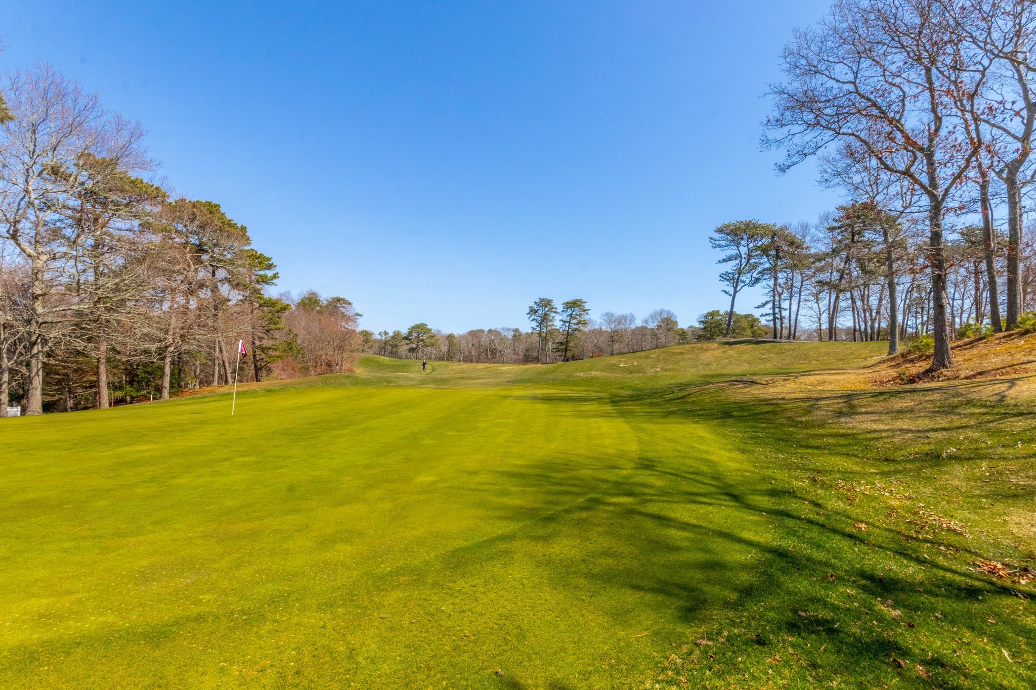 13 Hollyhock Knoll Ct # 13 Property Photo 3