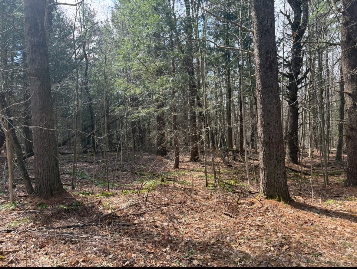 0 Island Acres Rd Property Photo 1