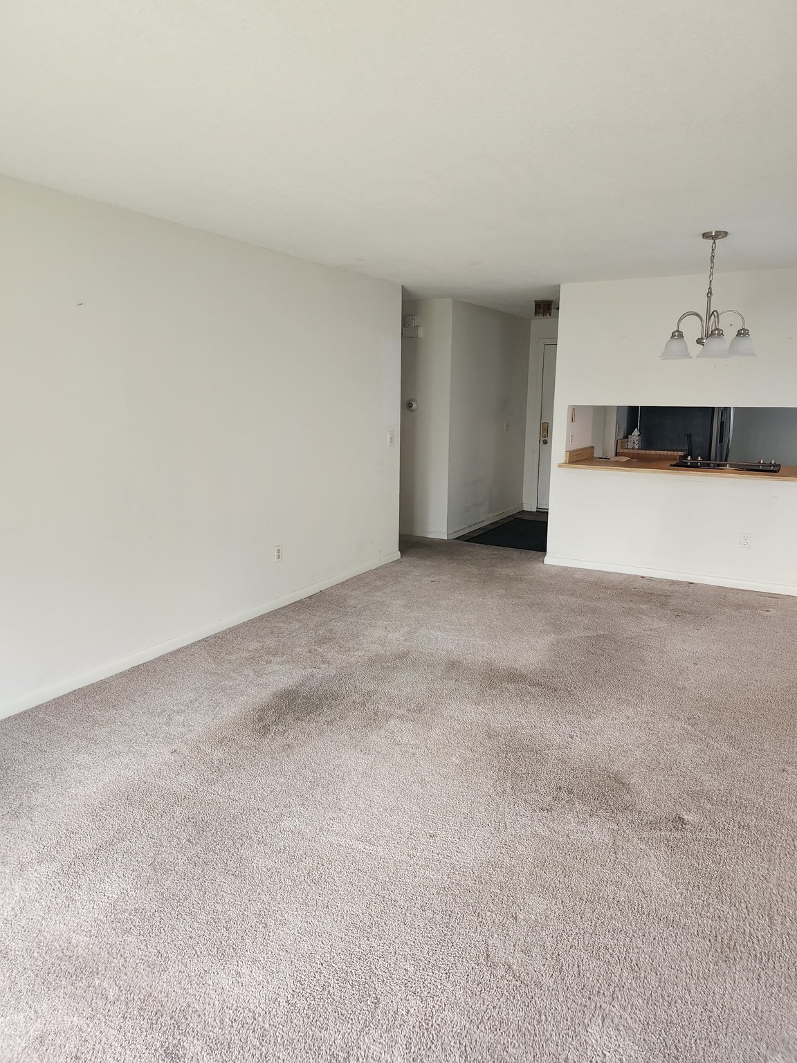 373 Nassau Dr # 373 Property Photo 4