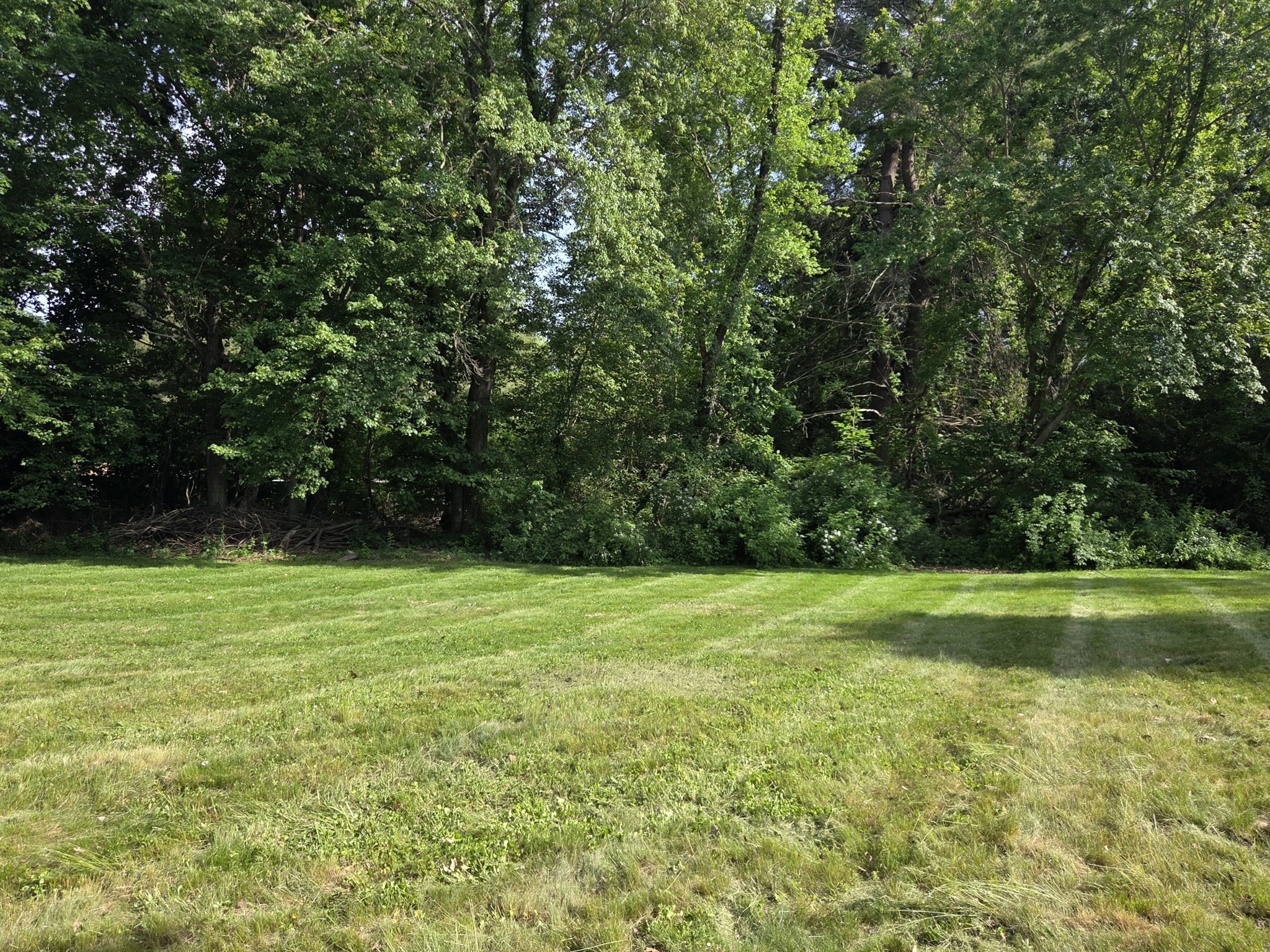 0 Thompson Rd Property Photo 1