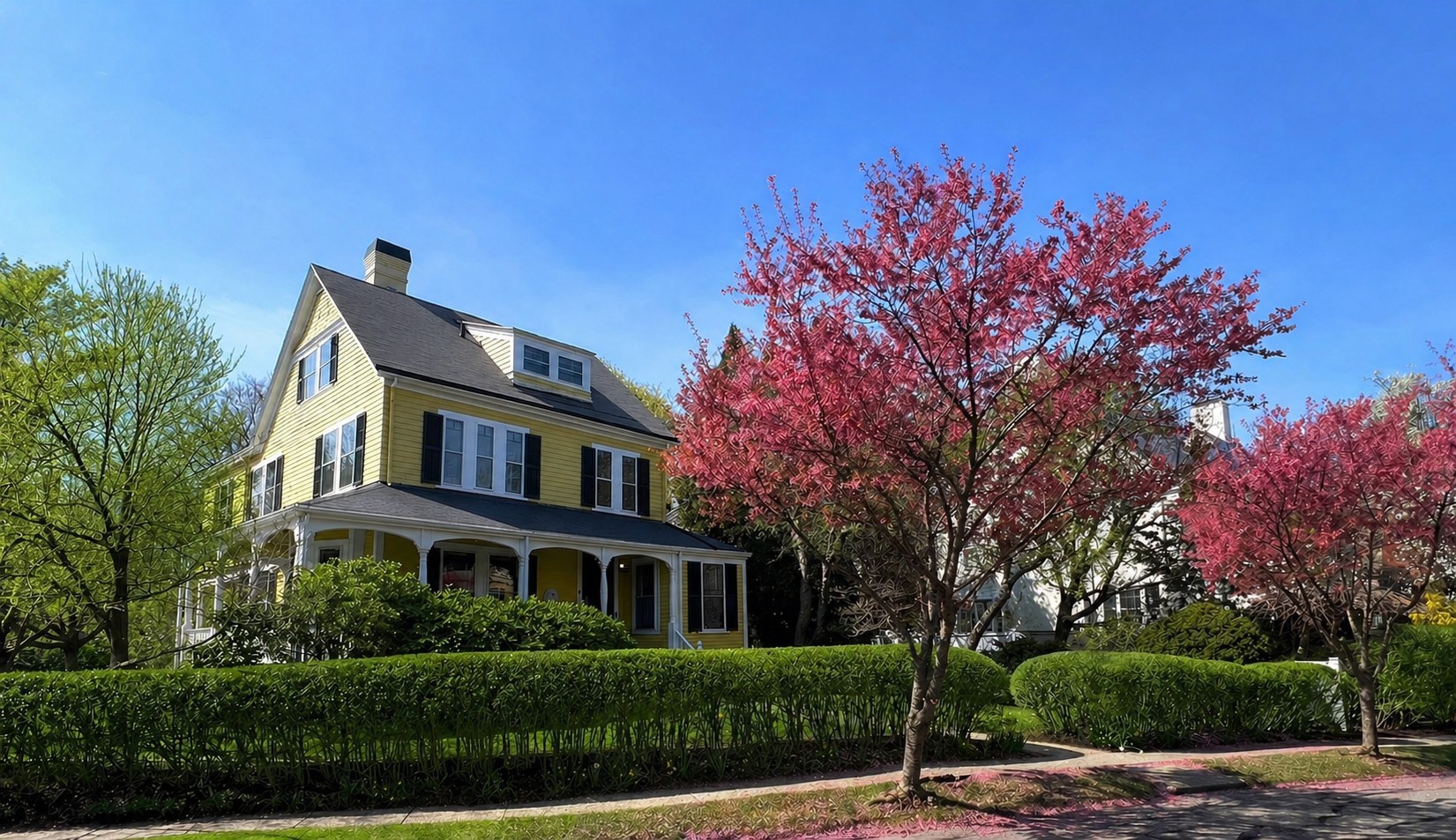 6 Mercer Circle Property Photo 1