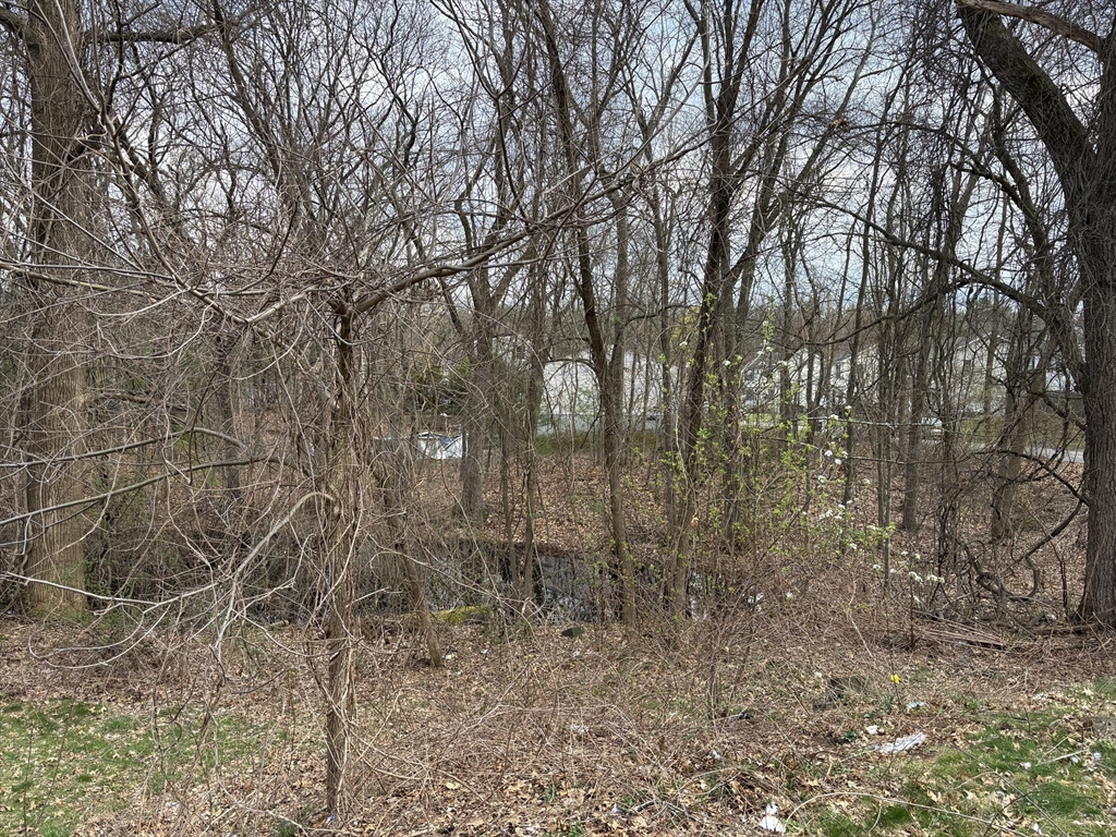 177 Jamaica St Property Photo 5