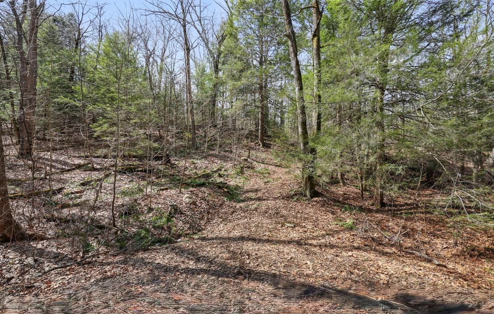 8 Hemlock Rd Property Photo 2