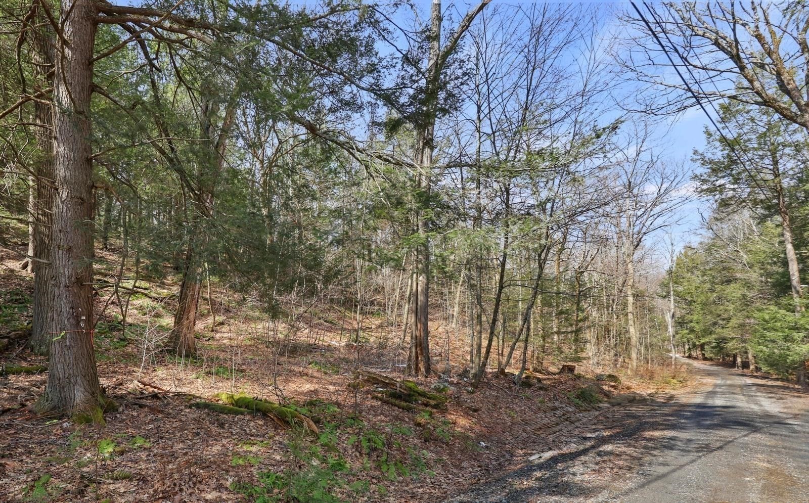 8 Hemlock Rd Property Photo 3