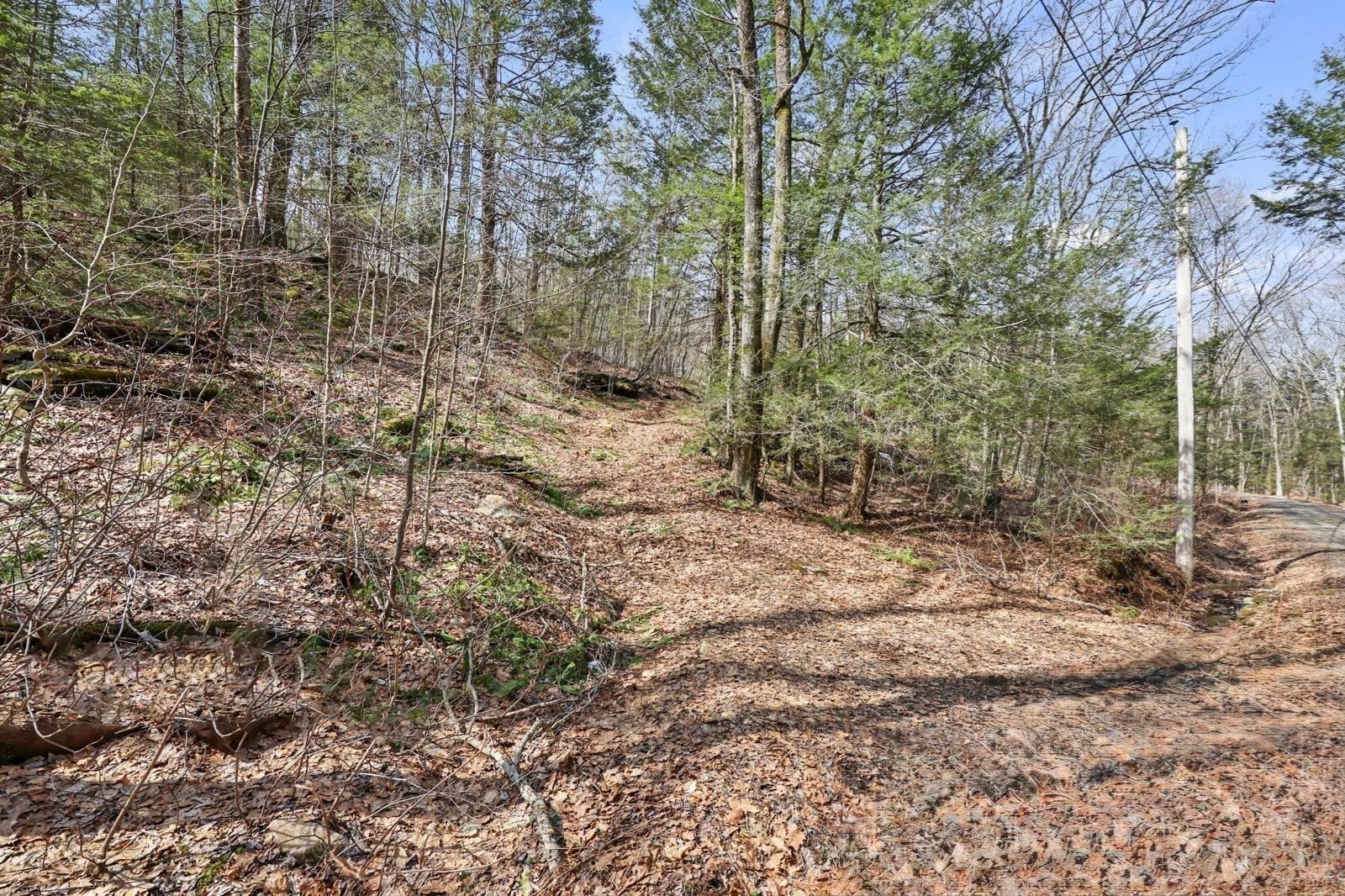8 Hemlock Rd Property Photo 4