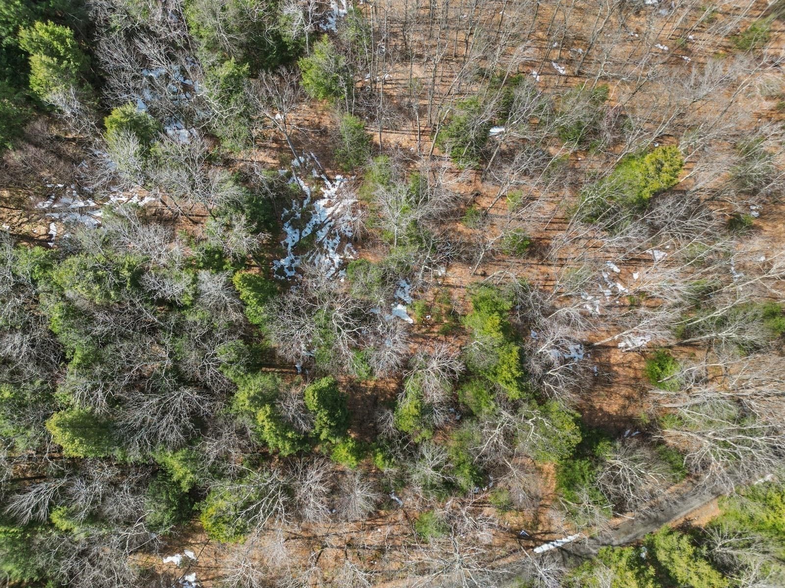 8 Hemlock Rd Property Photo 9