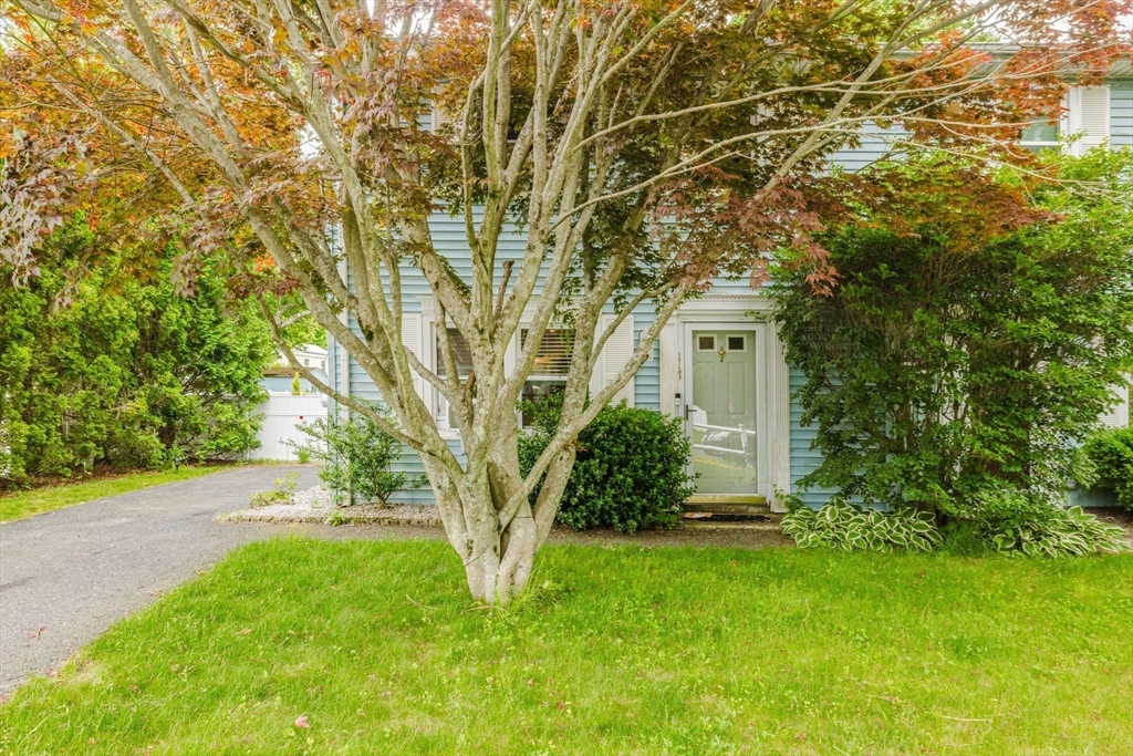 117 Saint Andre Dr # 117 Property Photo 1