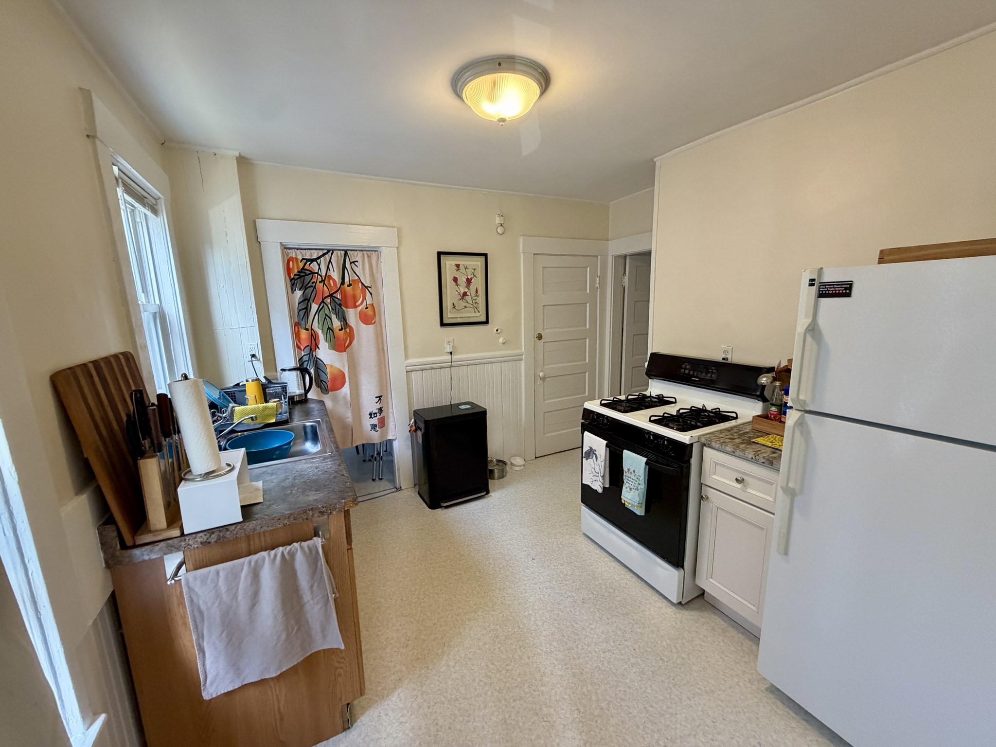 7-9 Orrin Street Property Photo 5