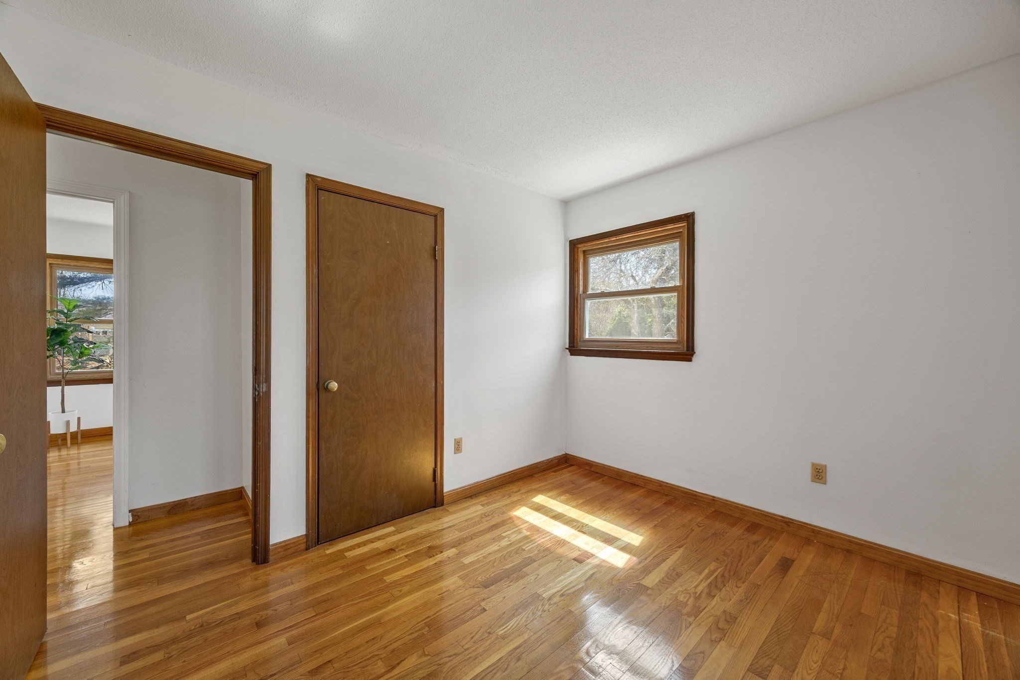 74 Grace Ct Property Photo 18