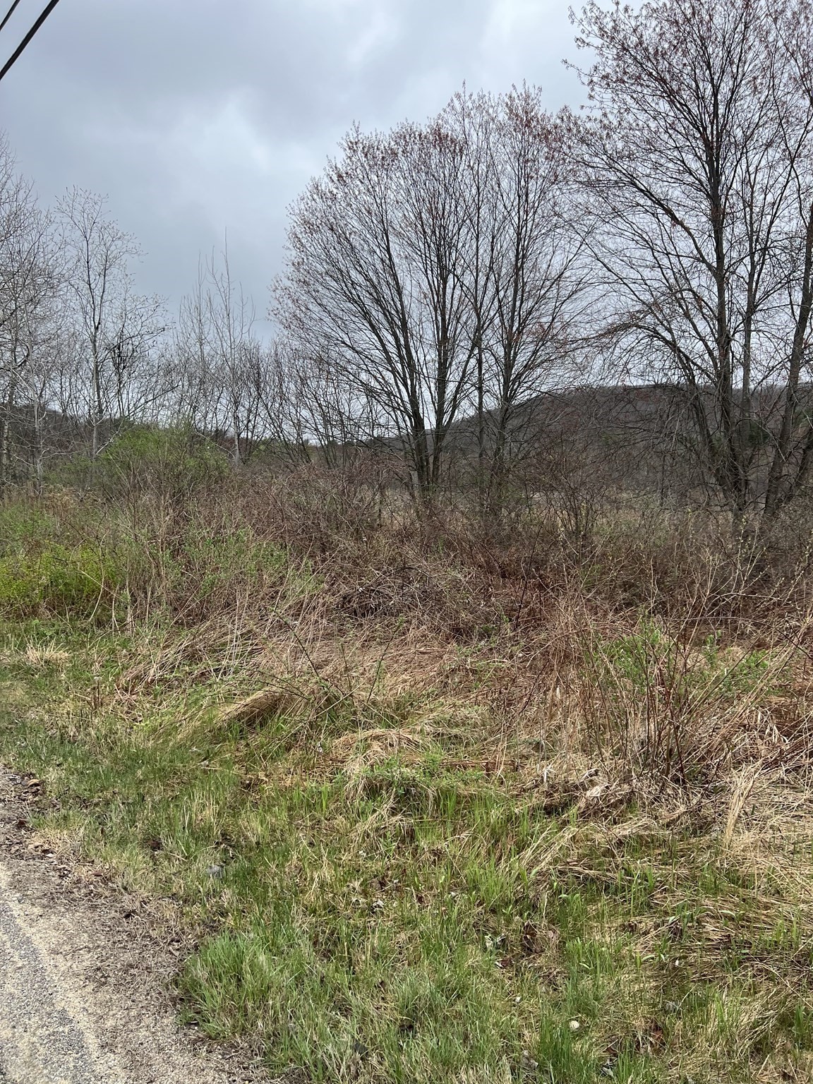 Lot 50 Reed Street Property Photo 5