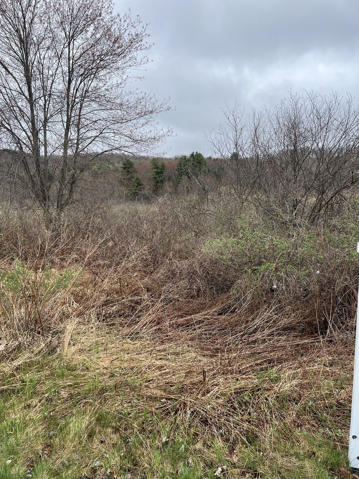 Lot 50 Reed Street Property Photo 6