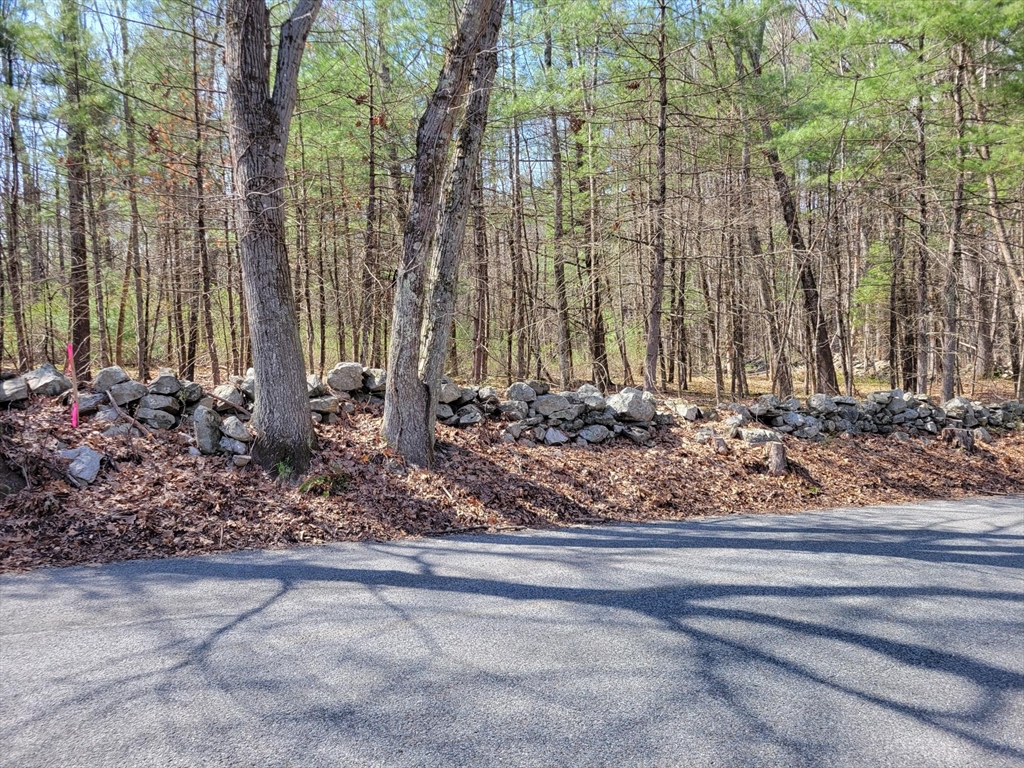 Lot 4 Daniels Rd Property Photo 1