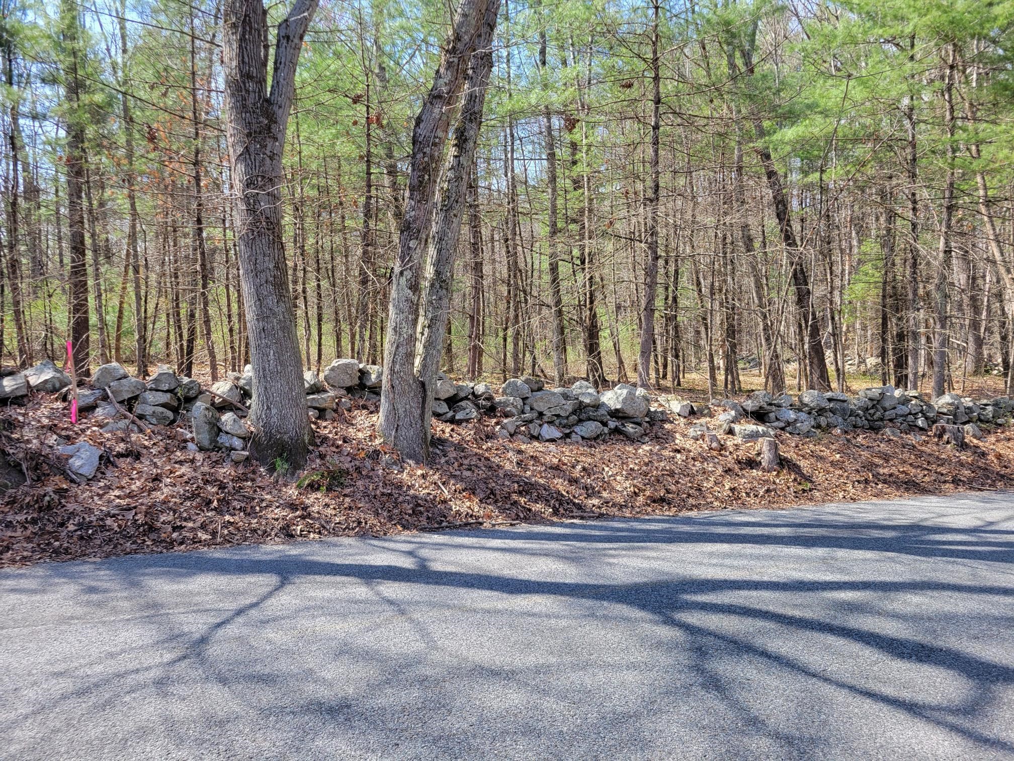 Lot 4 Daniels Rd Property Photo 1