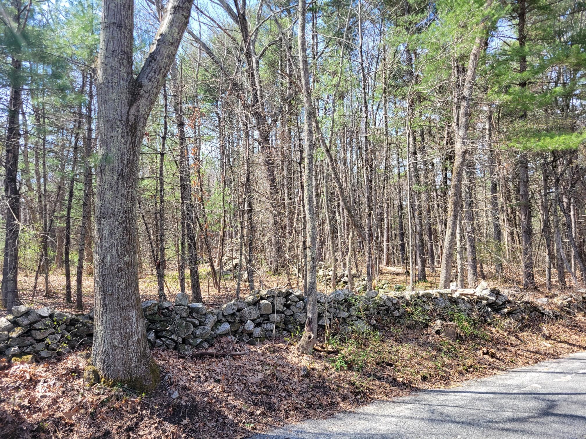 Lot 4 Daniels Rd Property Photo 2