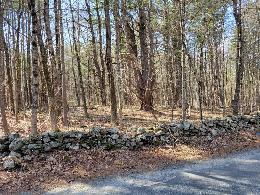 Lot 4 Daniels Rd Property Photo 3