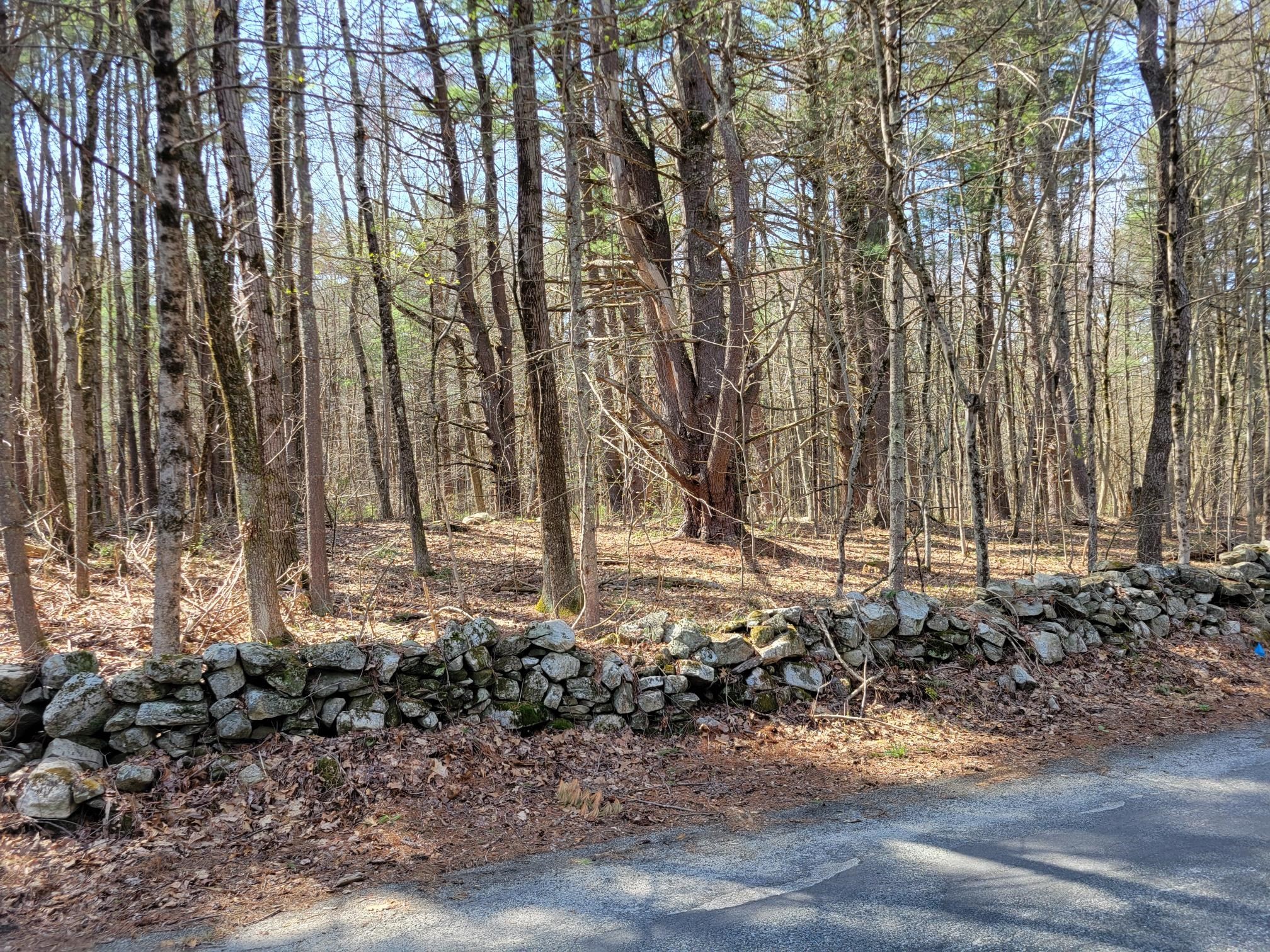 Lot 4 Daniels Rd Property Photo 3