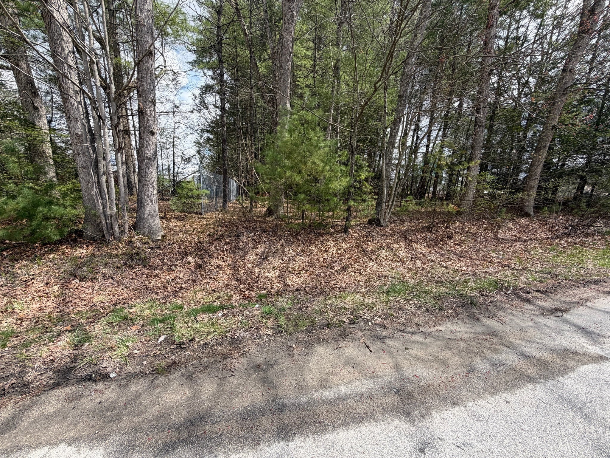 196 Old Wesbter Rd Property Photo 6