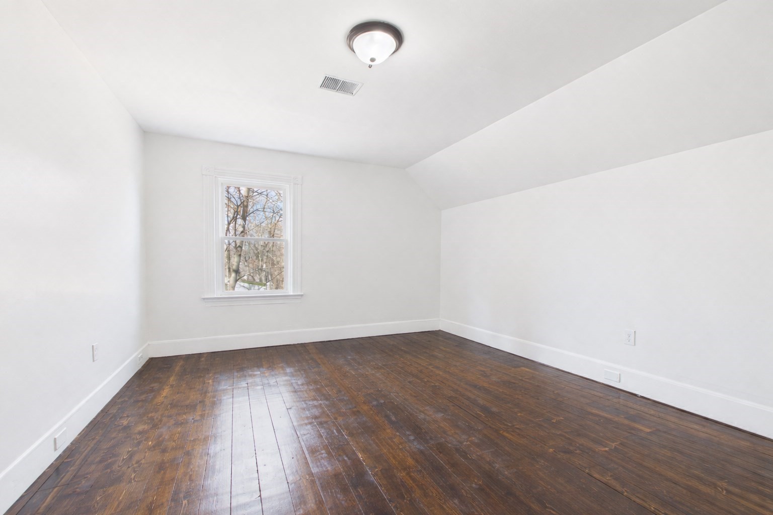 12 Sherman St Property Photo 23