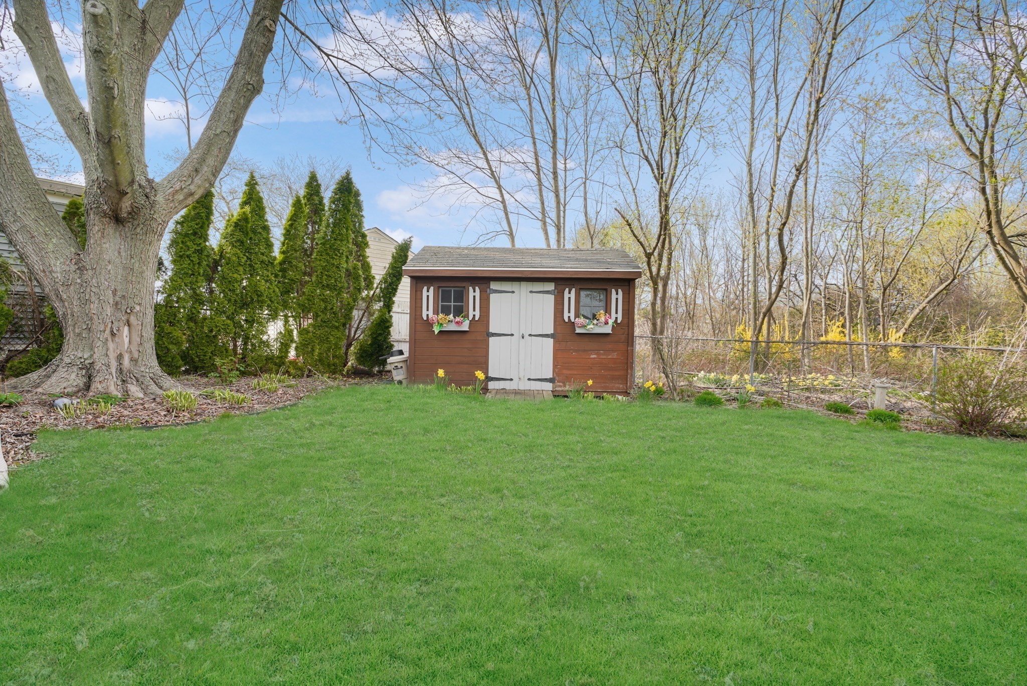 96 Star St Property Photo 35