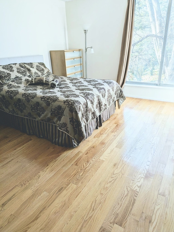 99 Pond Ave # D409 Property Photo 9