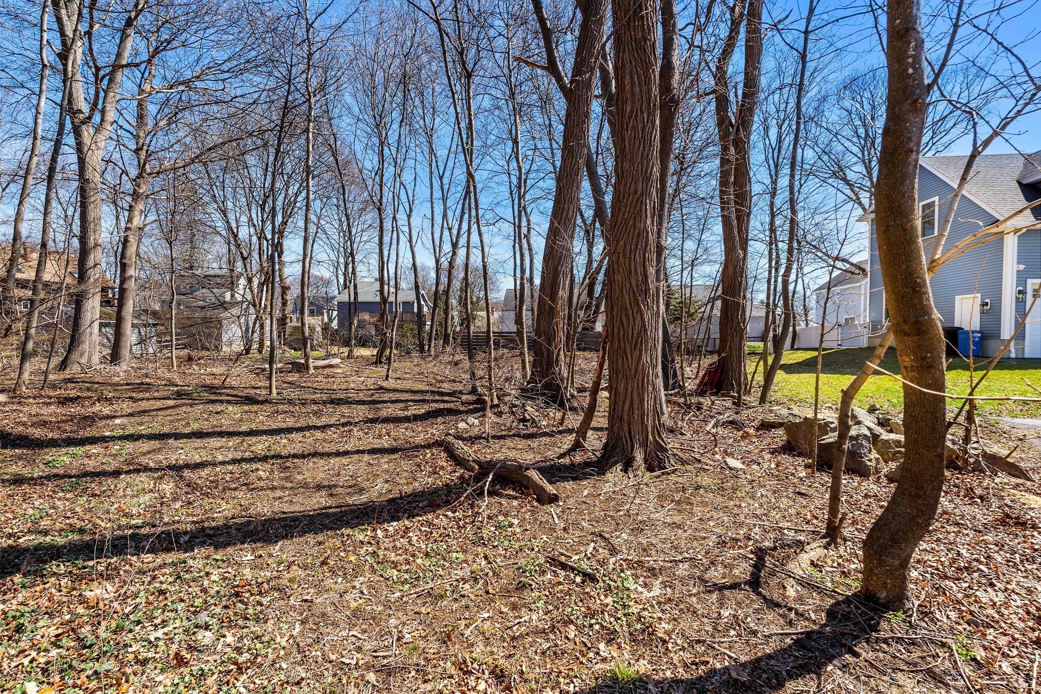 114 Livingstone Ave Property Photo 11