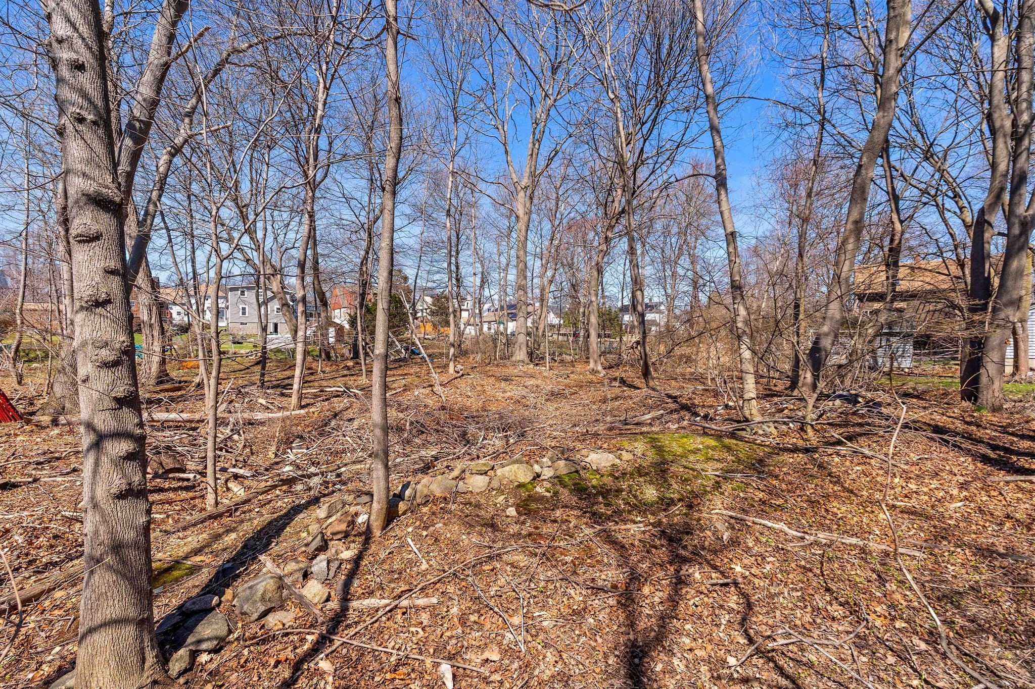 114 Livingstone Ave Property Photo 13