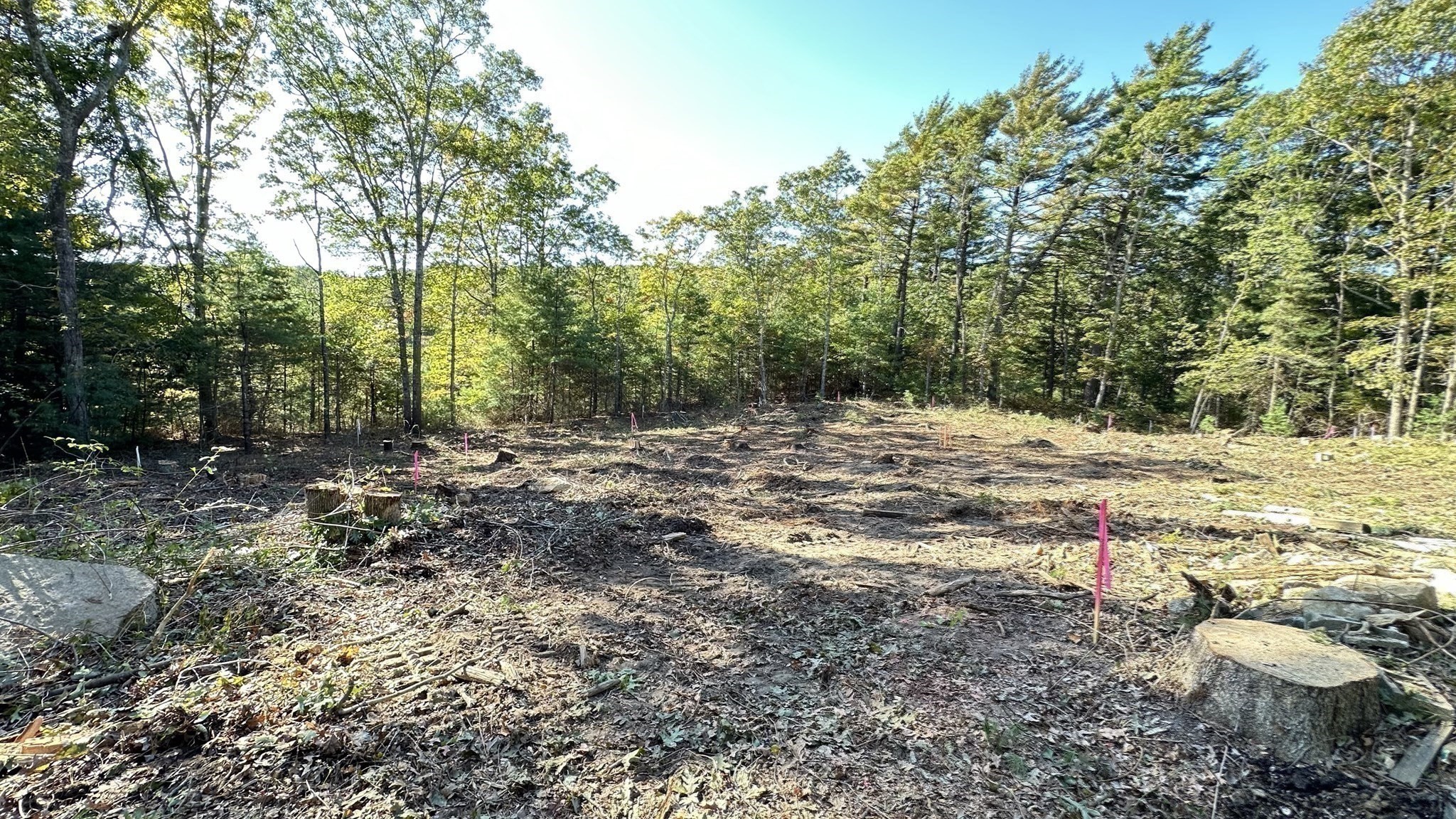 221 Beaver Dam Rd Property Photo 3