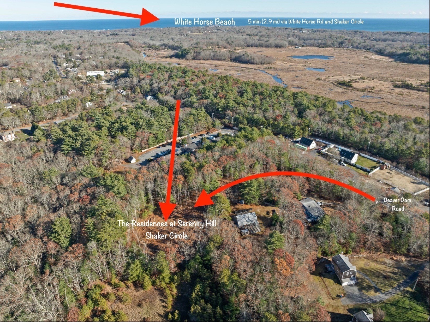 221 Beaver Dam Rd Property Photo 4