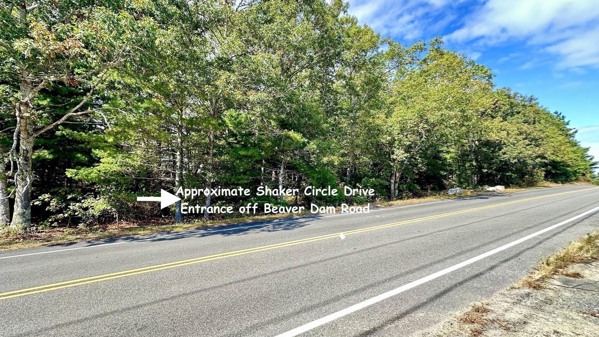 221 Beaver Dam Rd Property Photo 9